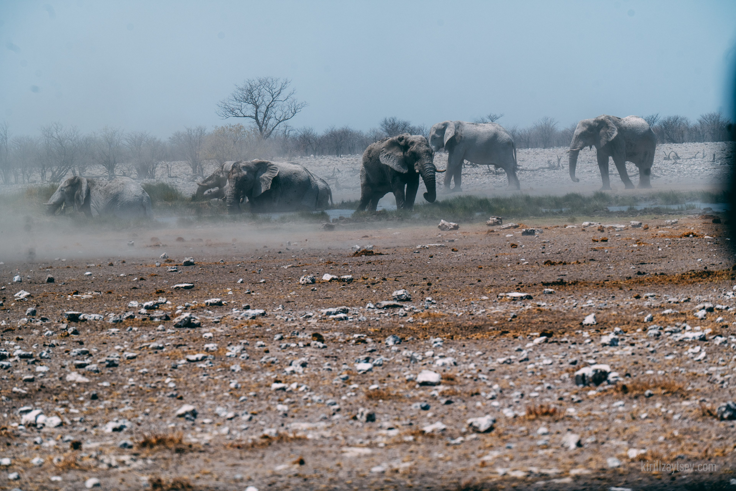 Жизнь. Профессиональный фотограф Кирилл Зайцев