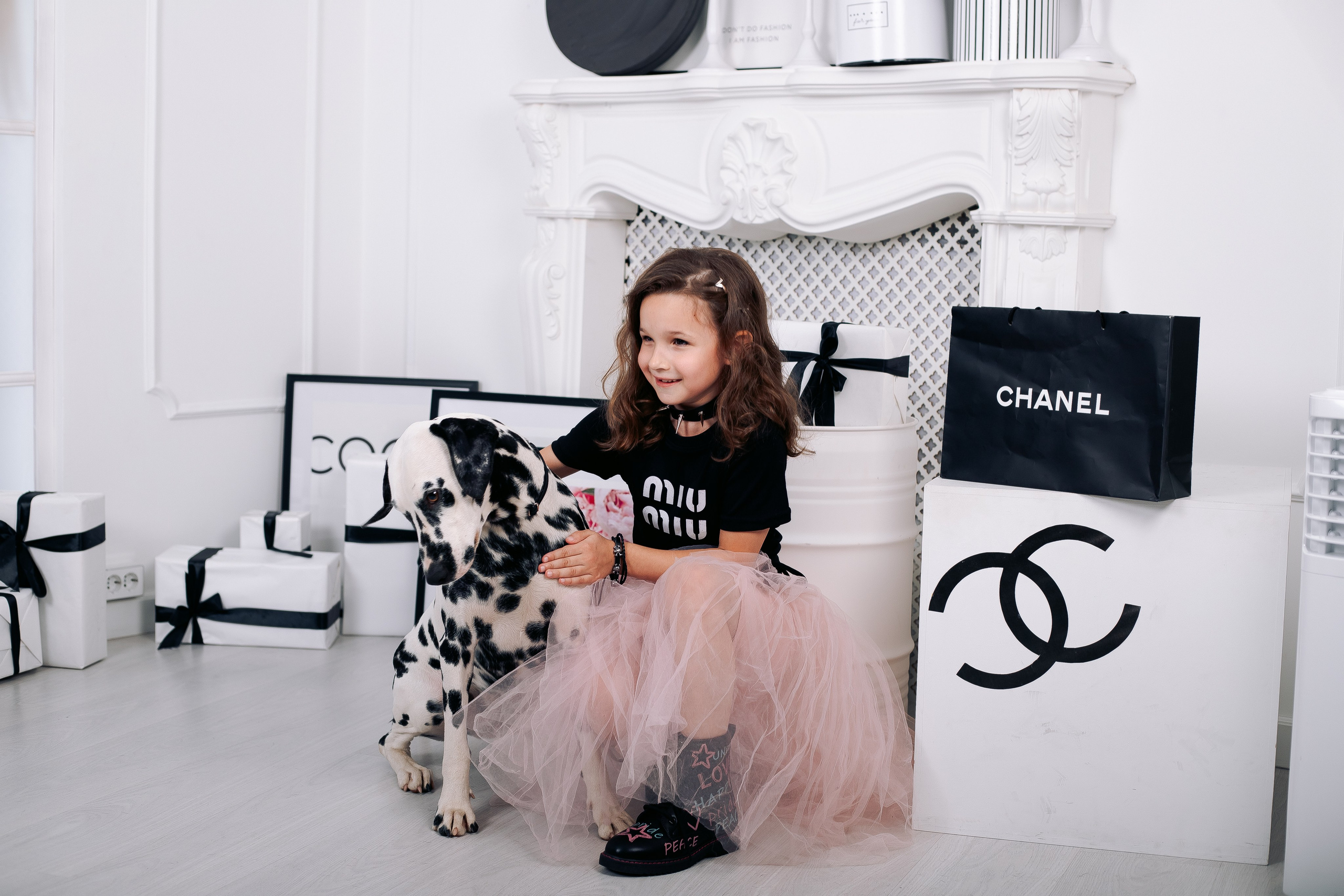 Фотосессия с далматинцами в фотостудии. Фотограф в Санкт-Петербурге, Анна Скворцова