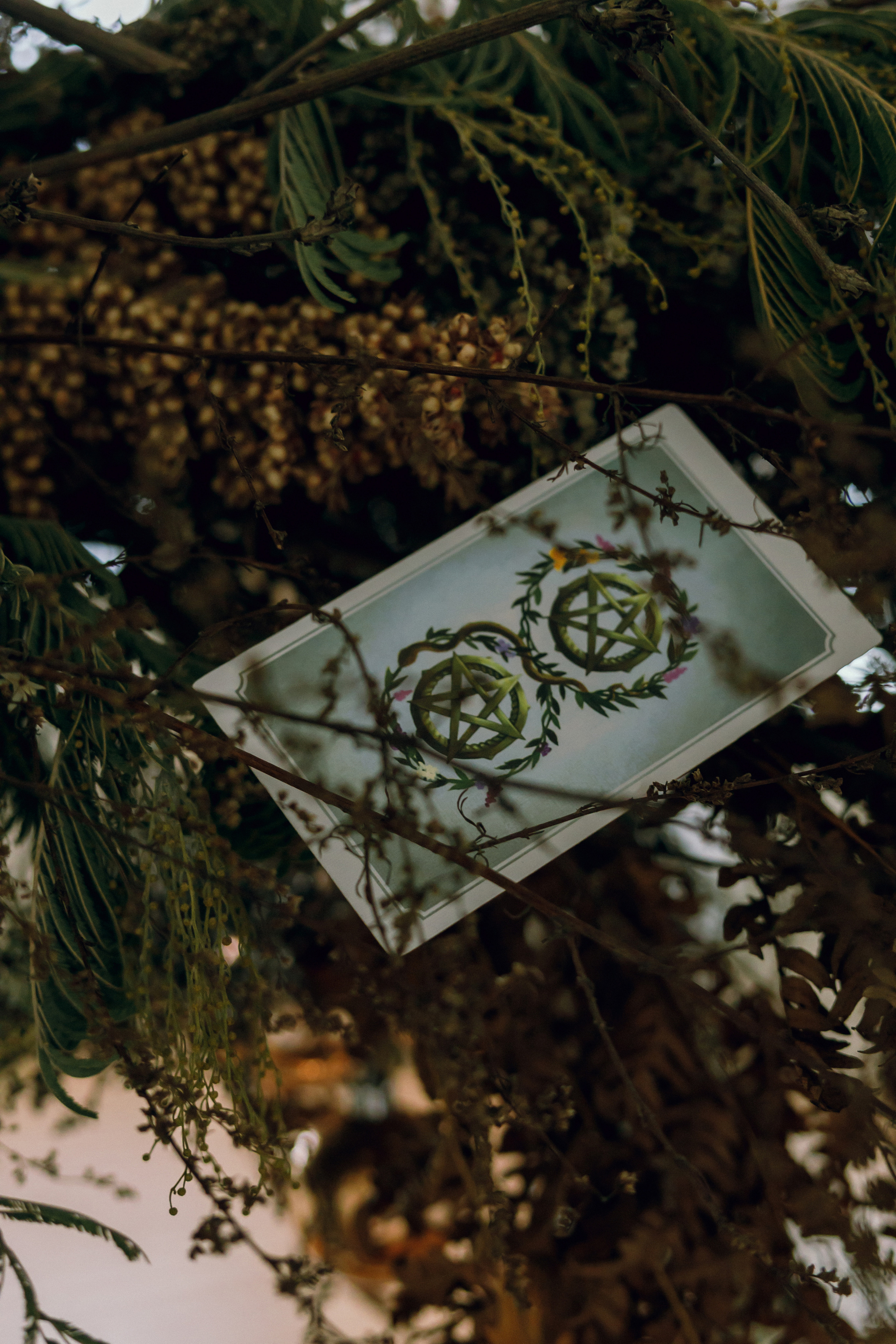 Bezdna. Свадебный фотограф / Reels Нижний Новгород Татьяна Красильникова