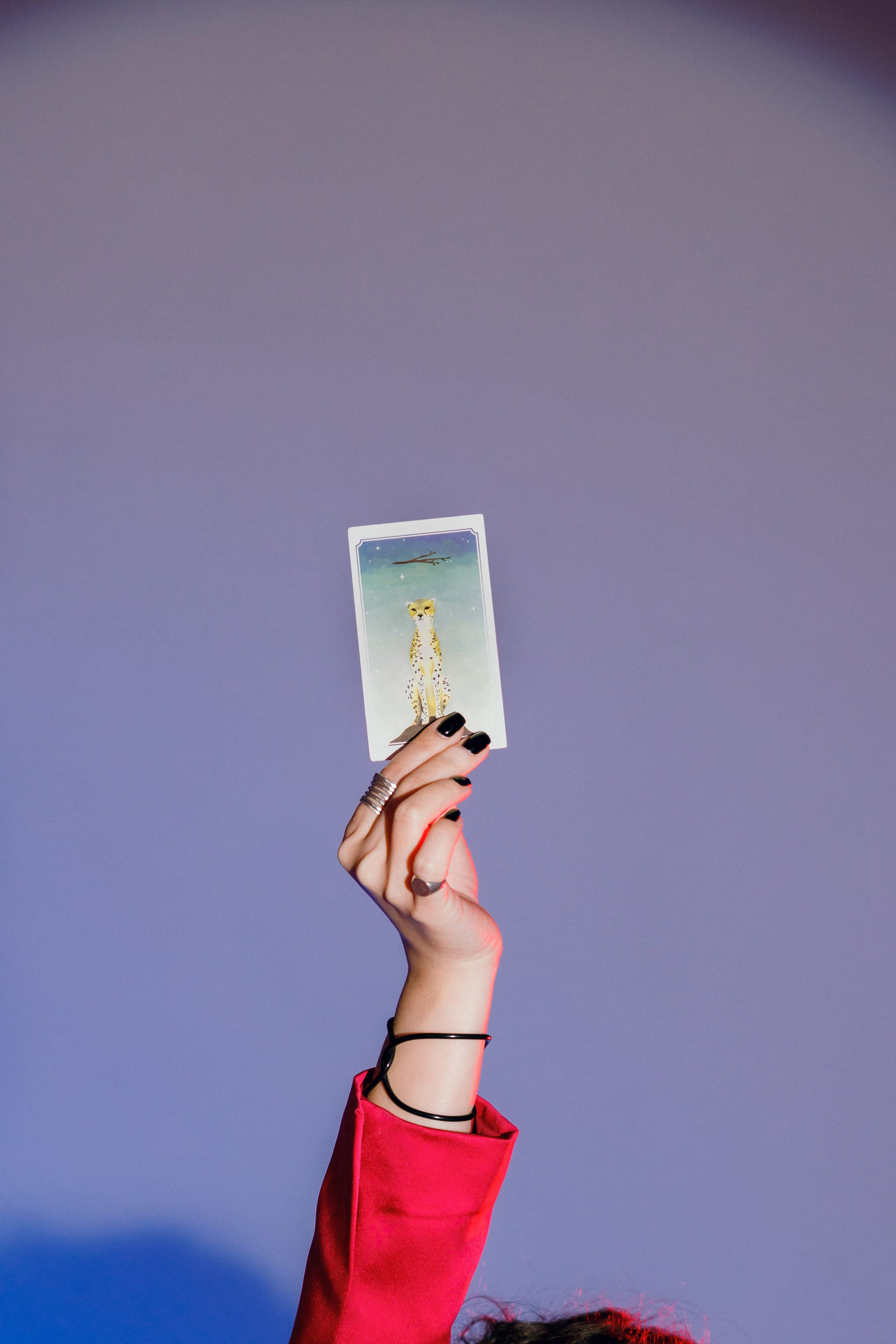 Bezdna. Свадебный фотограф / Reels Нижний Новгород Татьяна Красильникова