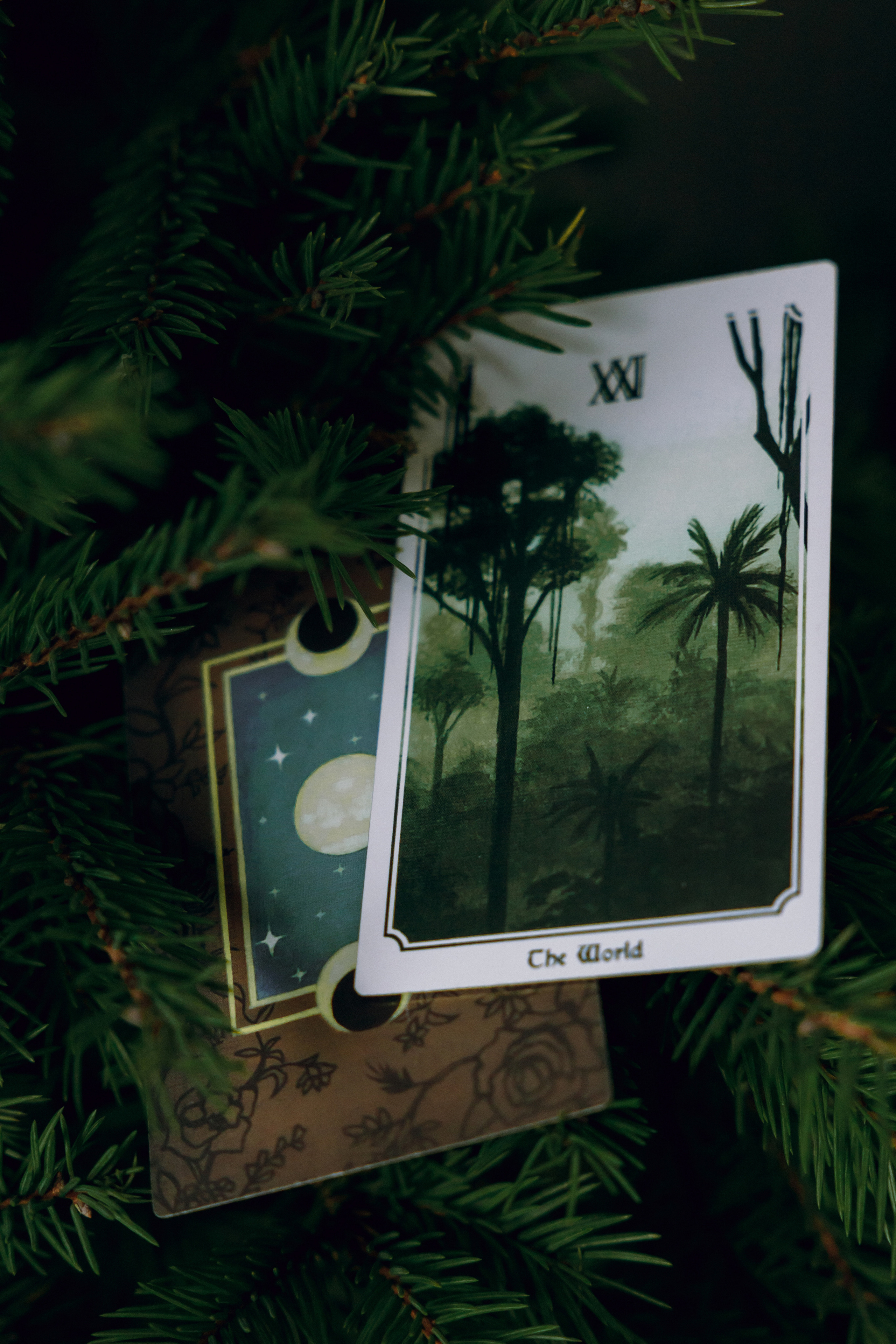 Bezdna. Свадебный фотограф / Reels Нижний Новгород Татьяна Красильникова