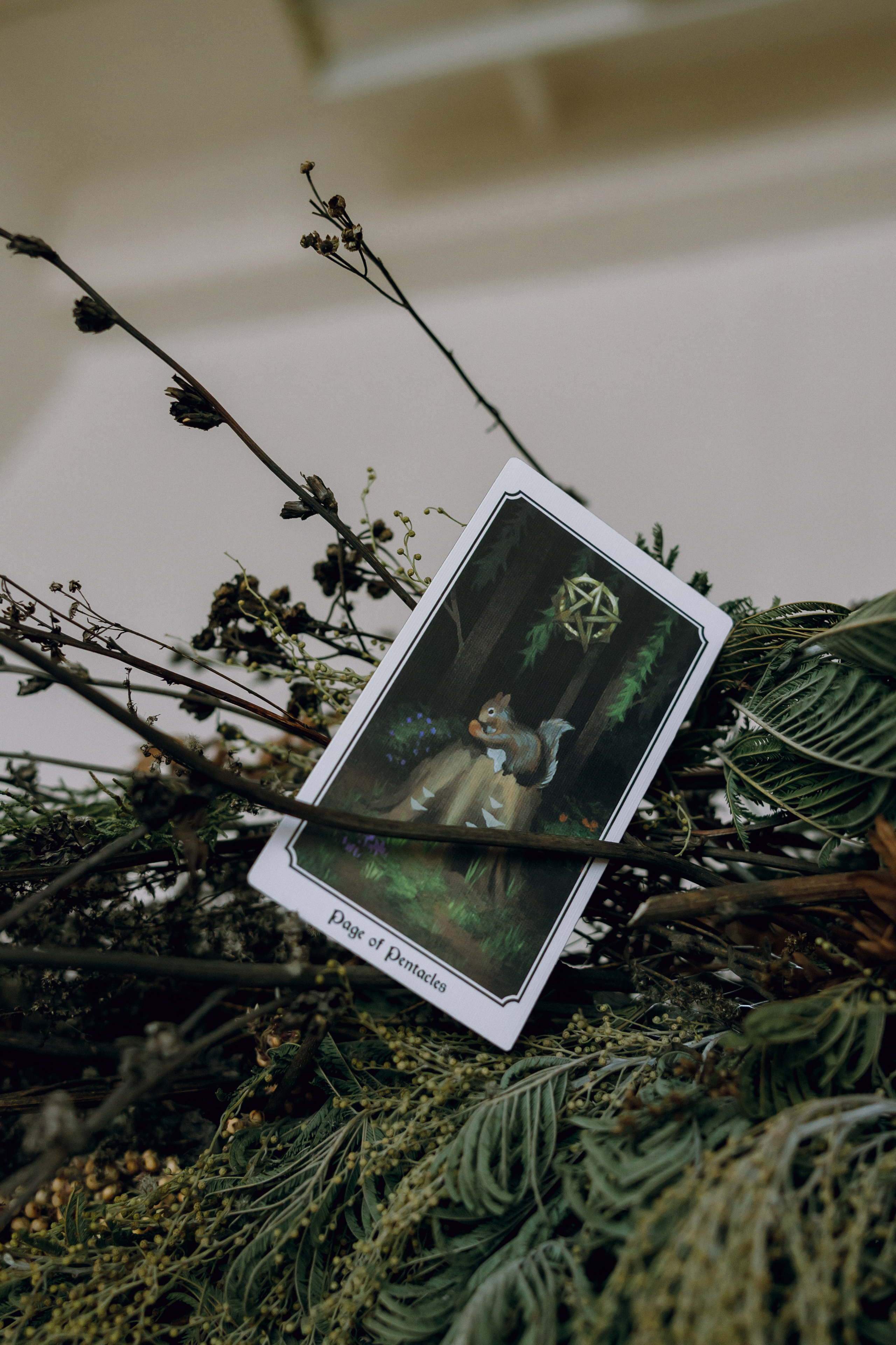 Bezdna. Свадебный фотограф / Reels Нижний Новгород Татьяна Красильникова