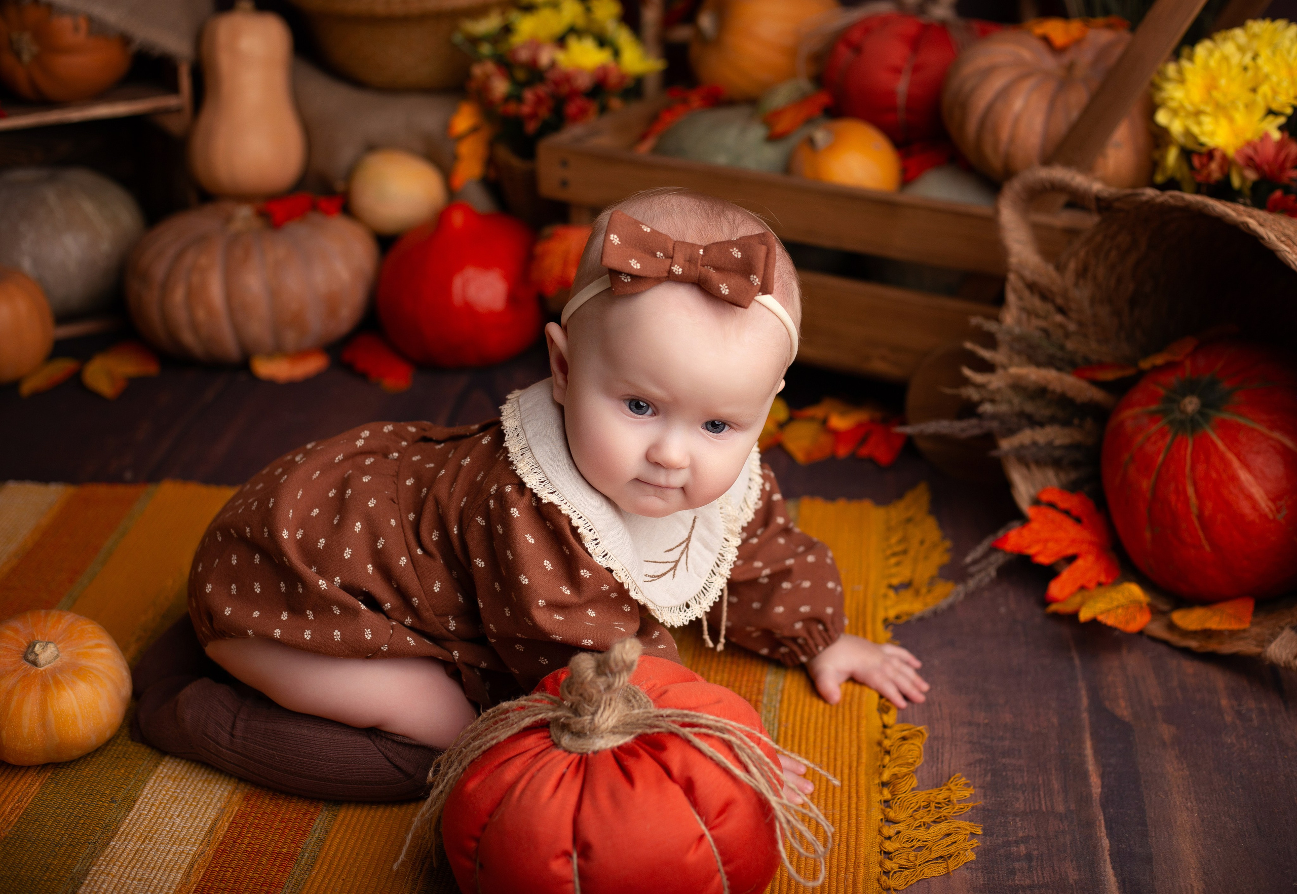 Фотопроекты. Детский фотограф в Няндоме Ариана Арсеньева