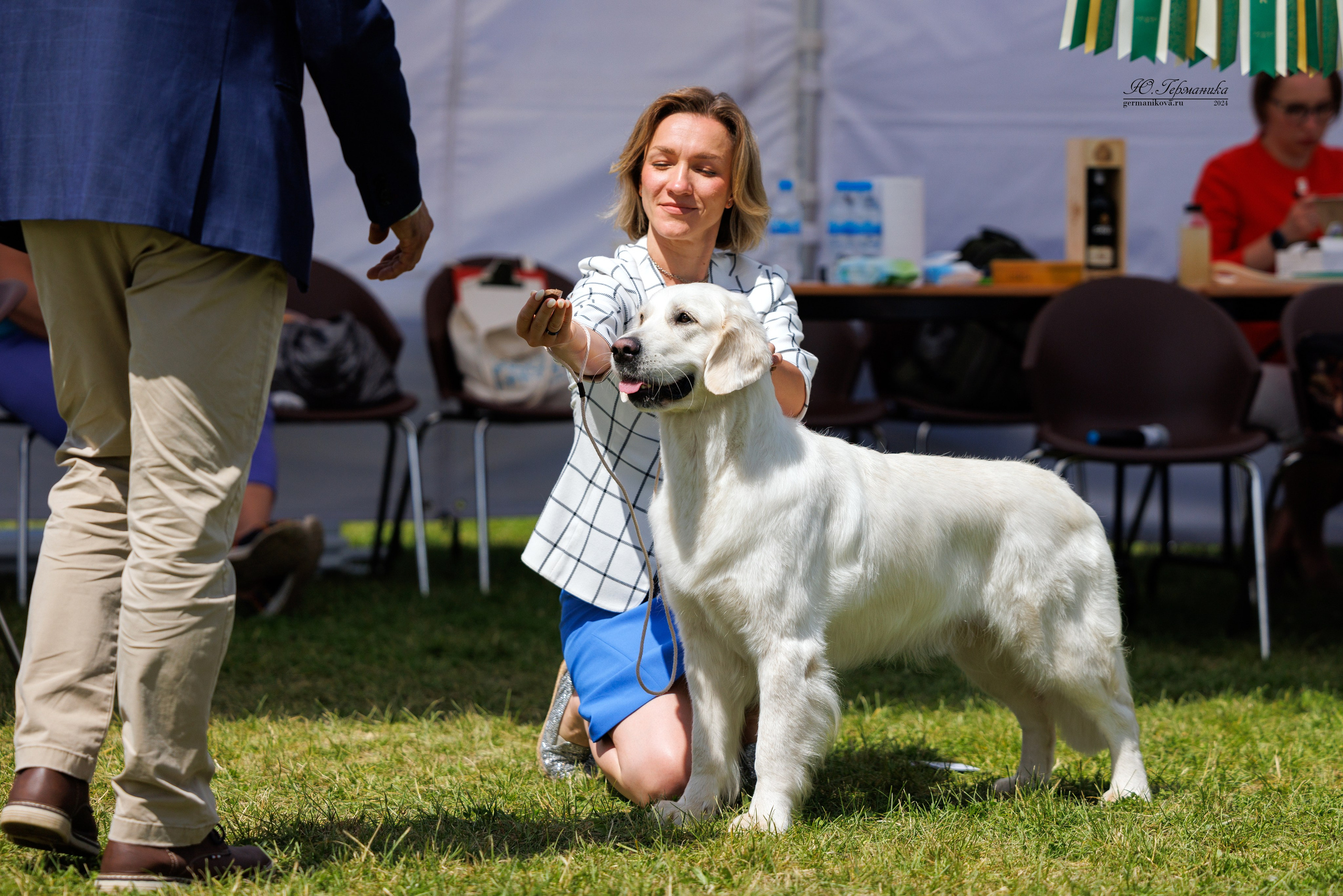 Голдены 15-16.06.2024. Фотограф-анималист Юлия Германика
