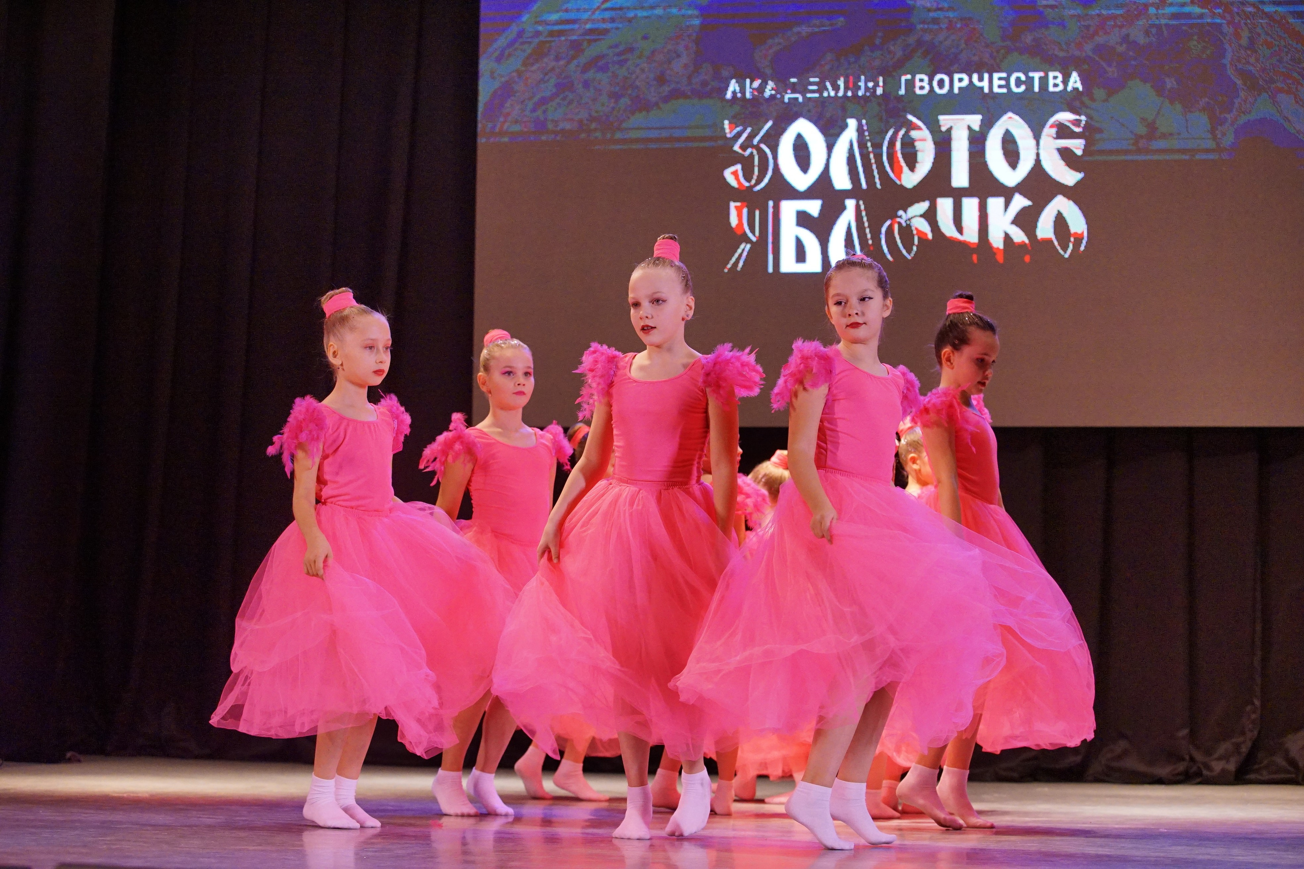 17 ноября, г. Новосибирск. Золотое яблочко