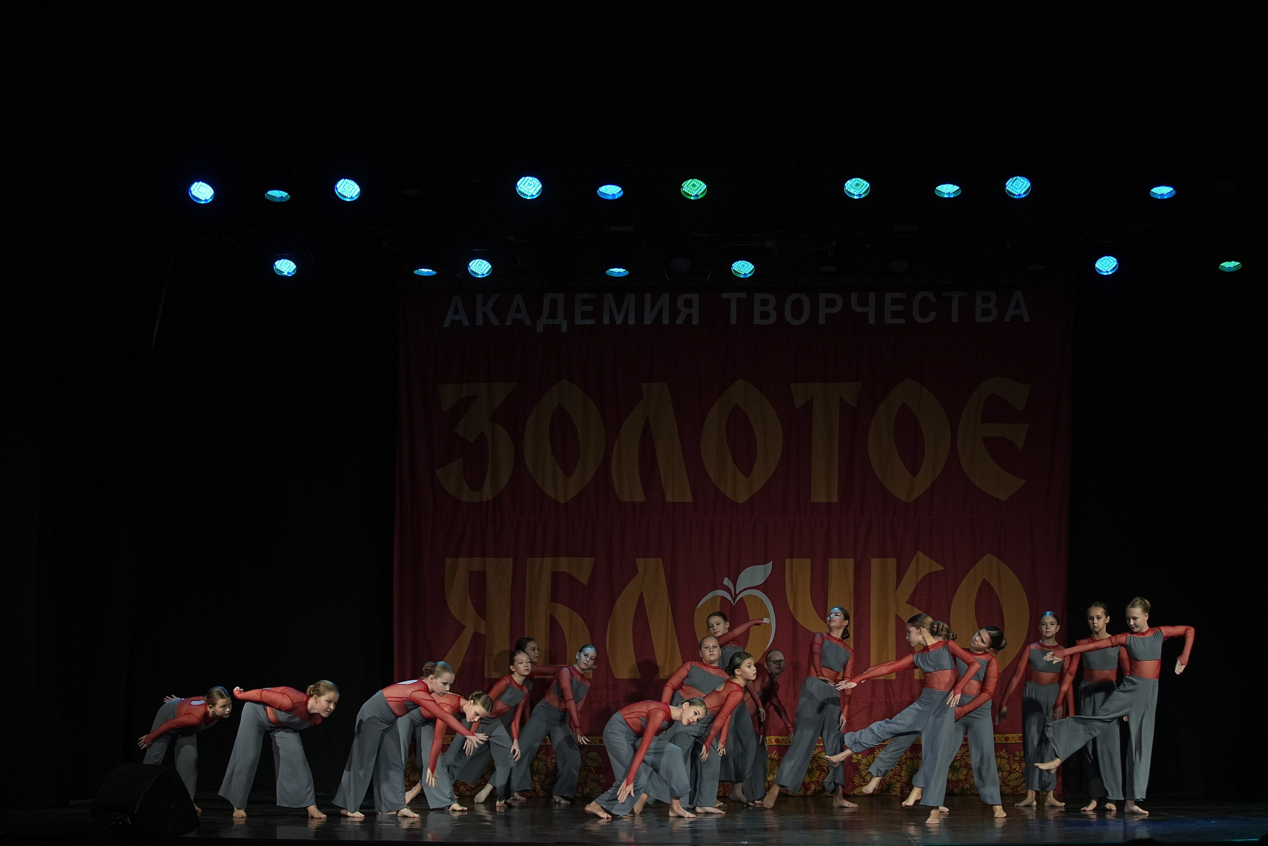 8 декабря, г. Кострома. Золотое яблочко