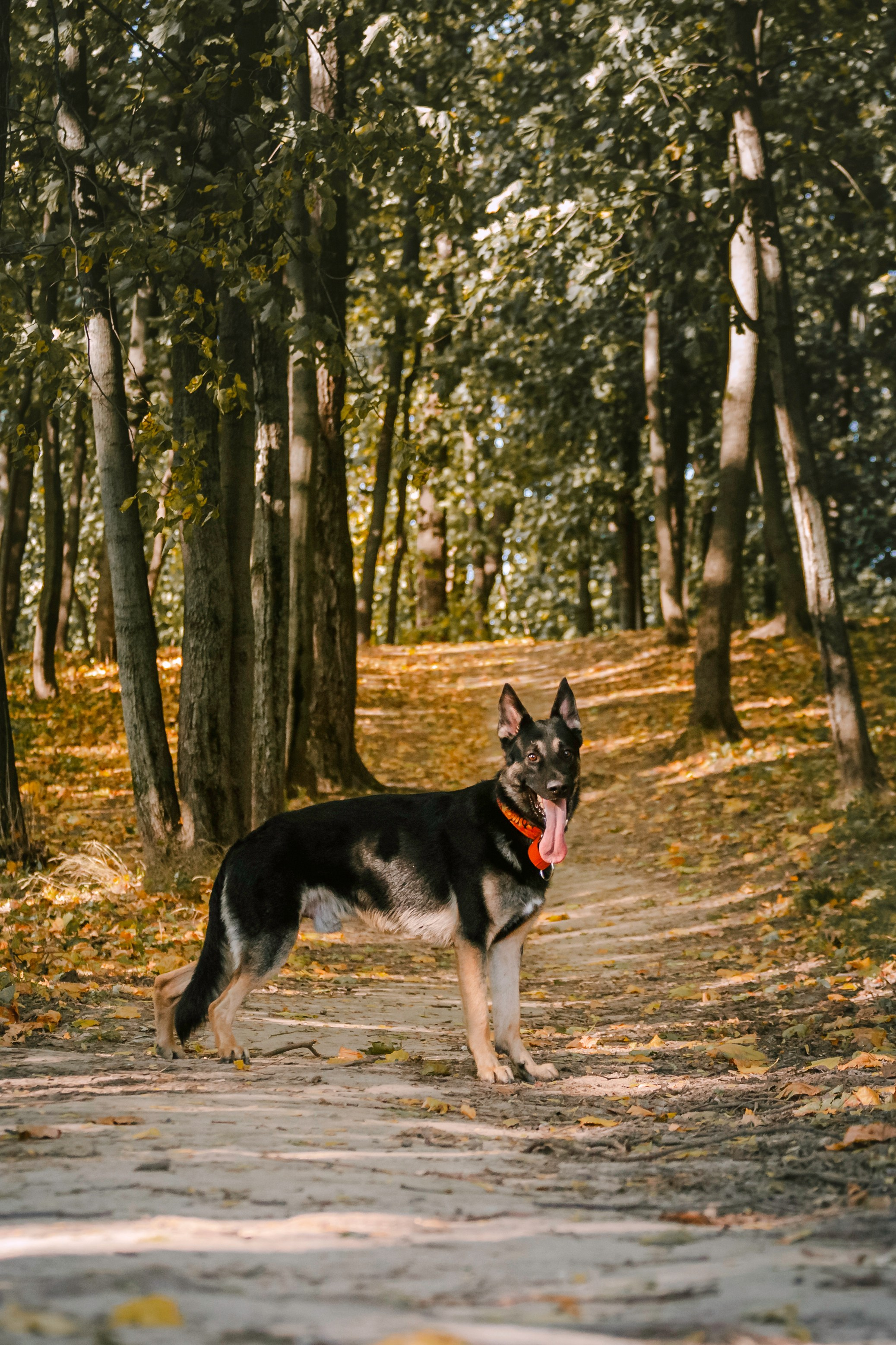 Илай. Фотограф-анималист Татьяна Степанова