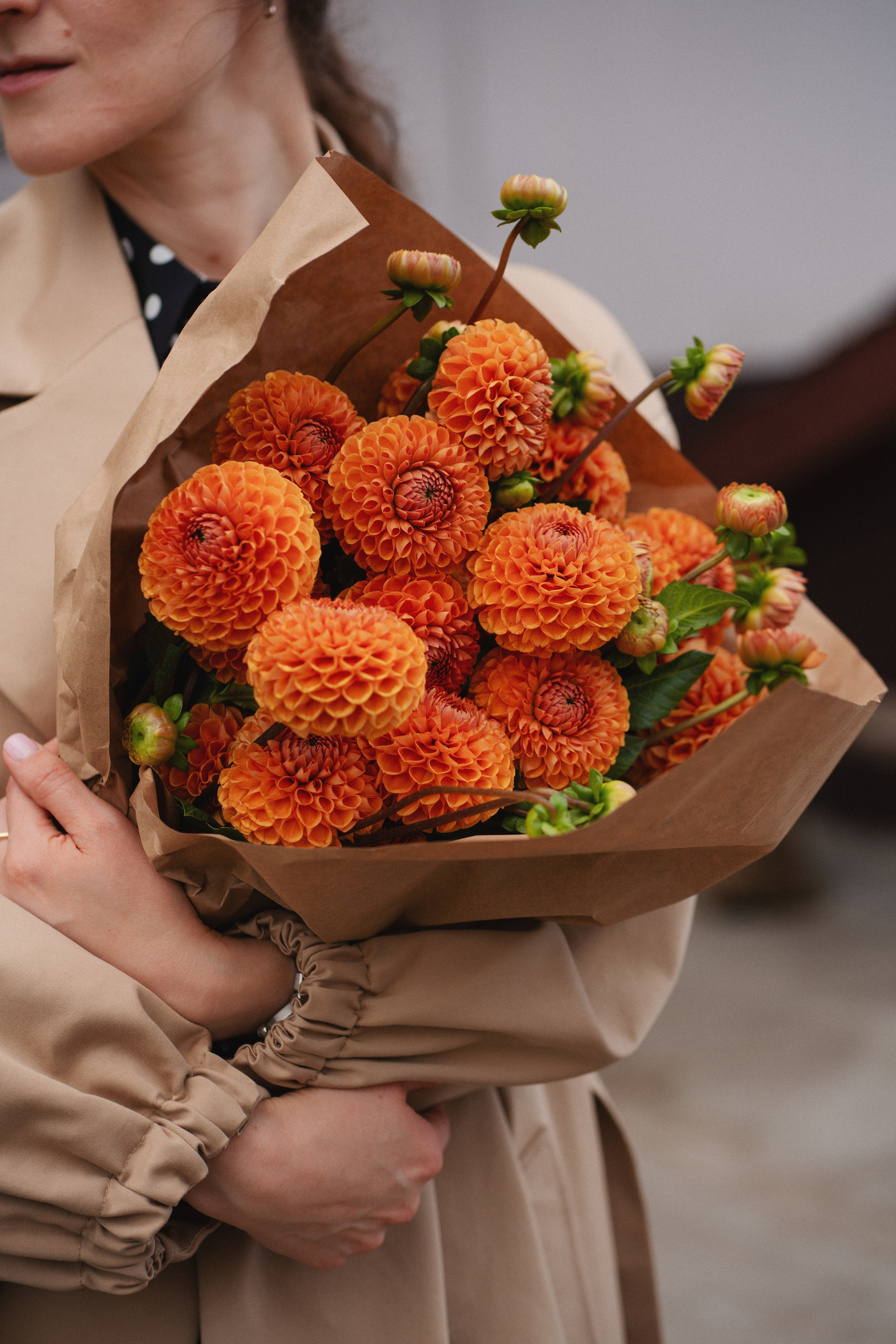 Зелёный мир. сеть цветочных салонов. Фотограф Анастасия Дёмина