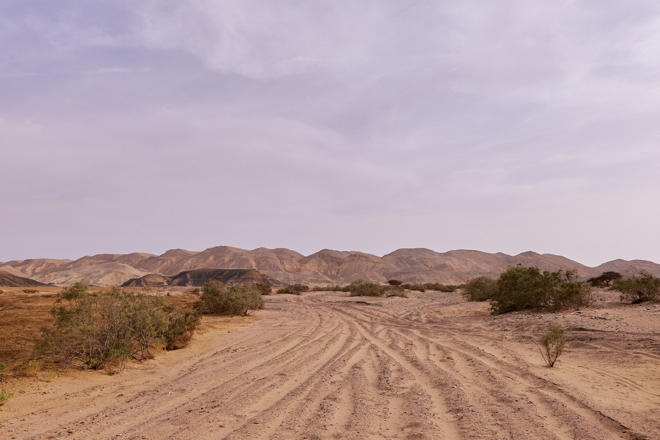 Улица горизонтальная. Jorgis — фотограф в Хургаде / обучение фотографии