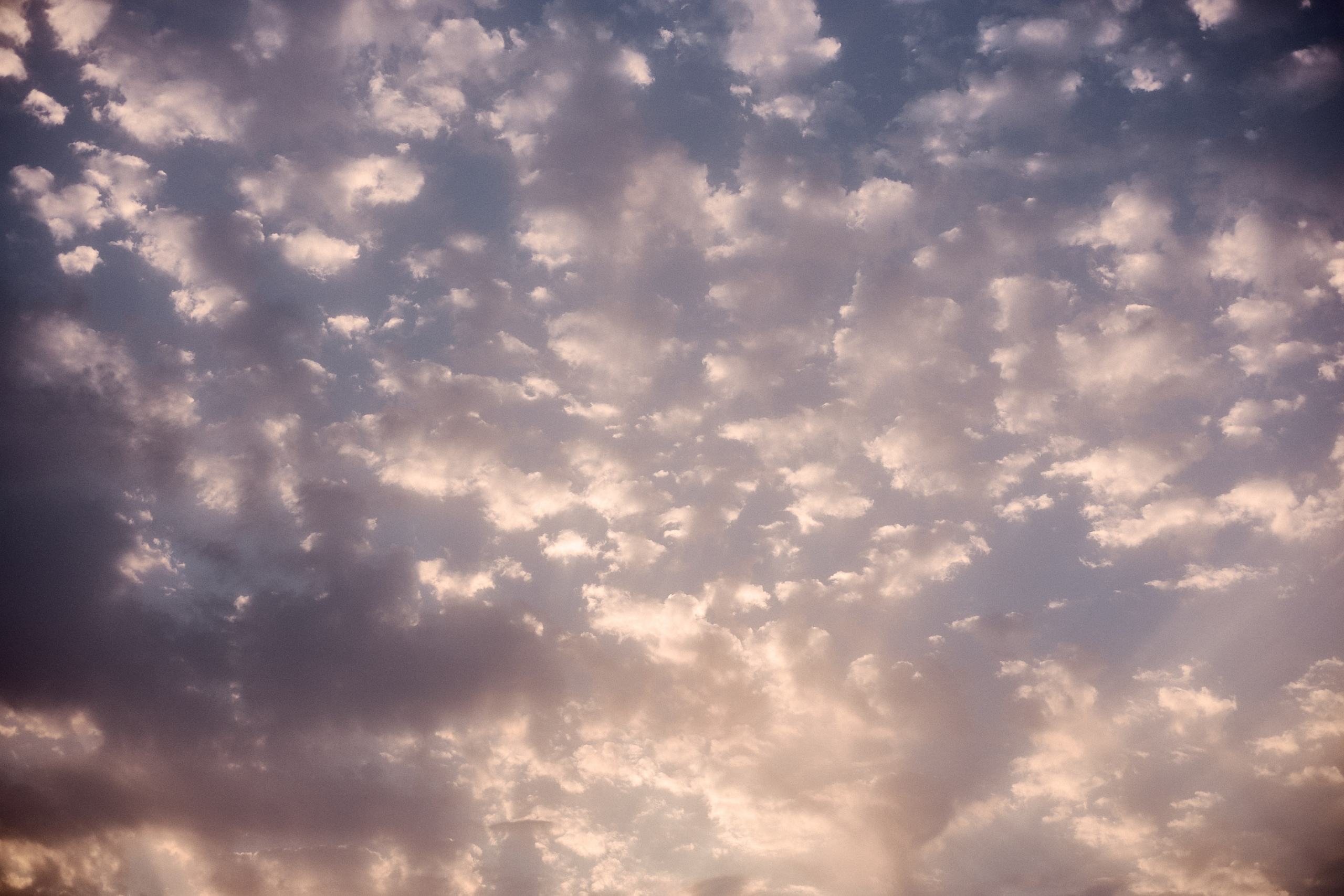 Улица горизонтальная. Jorgis — фотограф в Хургаде / обучение фотографии