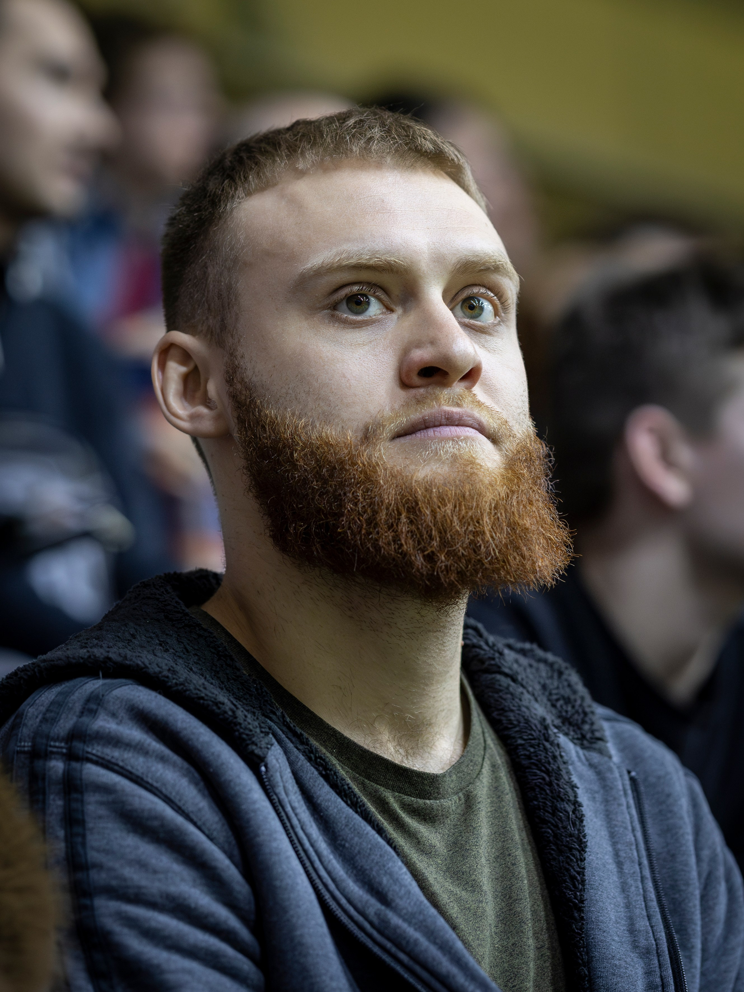 БК Новосибирск. Bertran Ordo