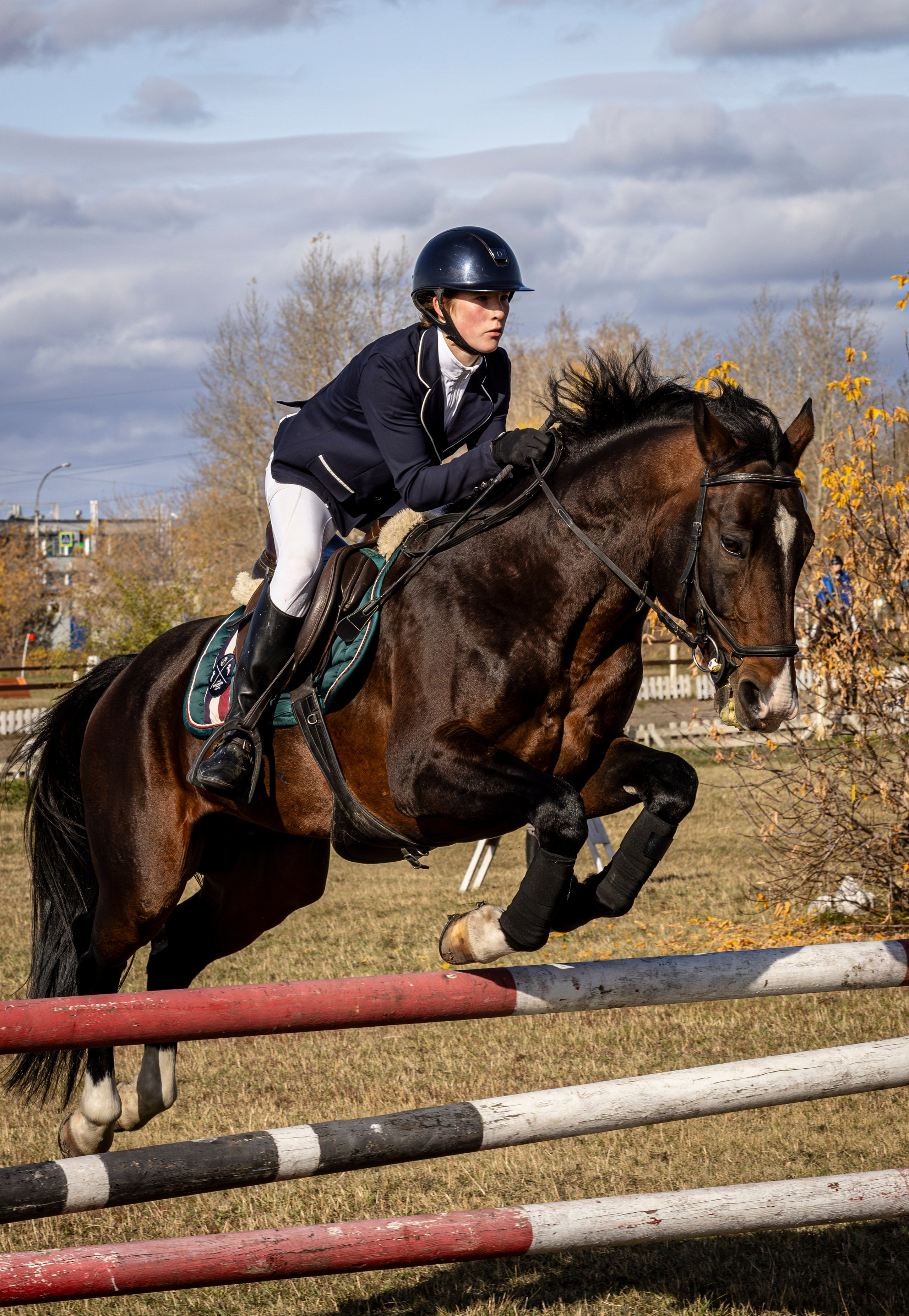 Конкур. Bertran Ordo