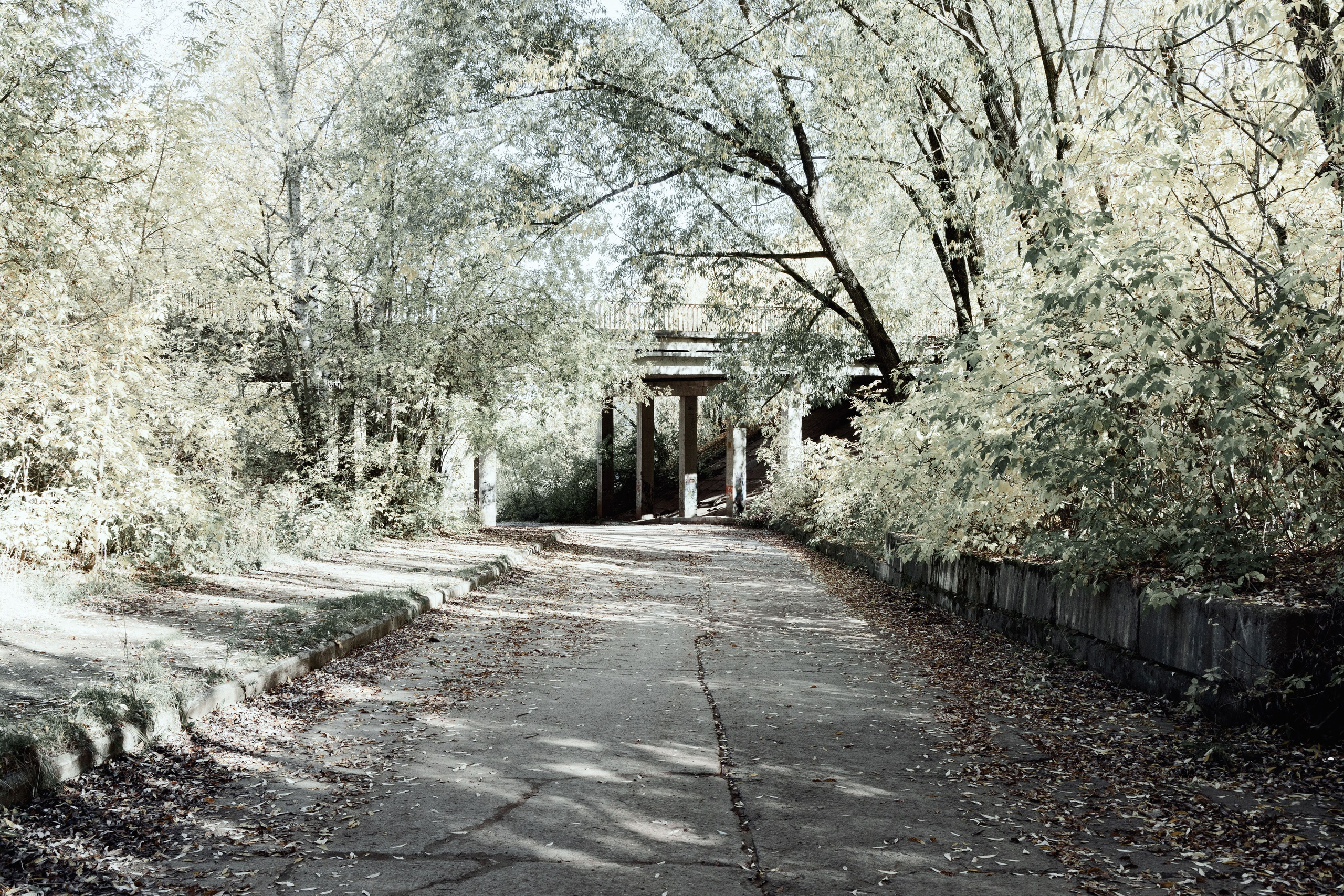 Природа. Фотограф Александр Тихонов