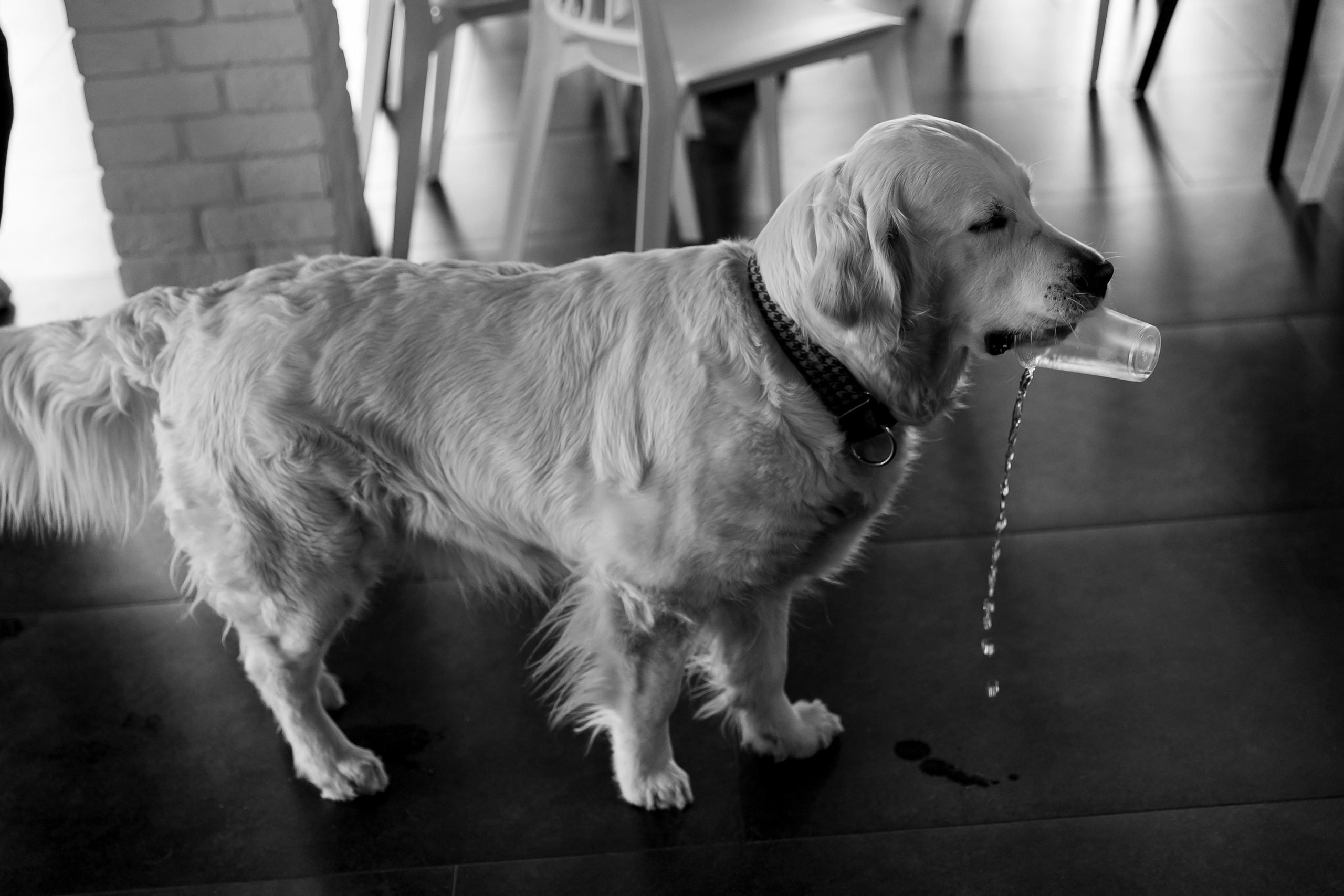 «Вместе». Свадебный фотограф Колесников Антон