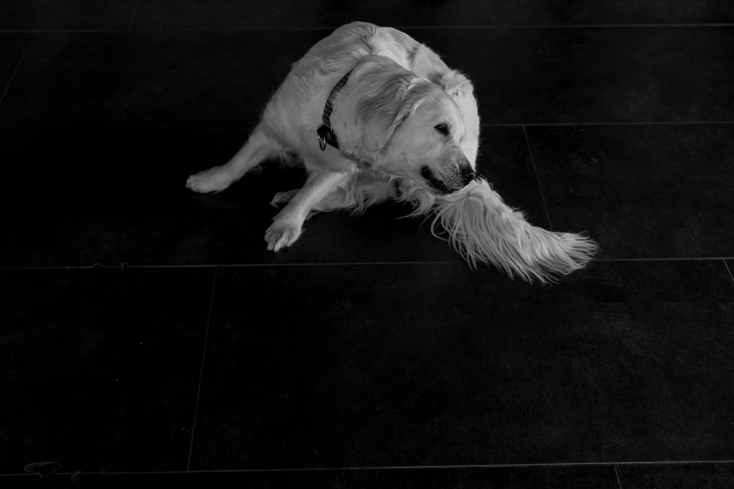 «Вместе». Свадебный фотограф Колесников Антон