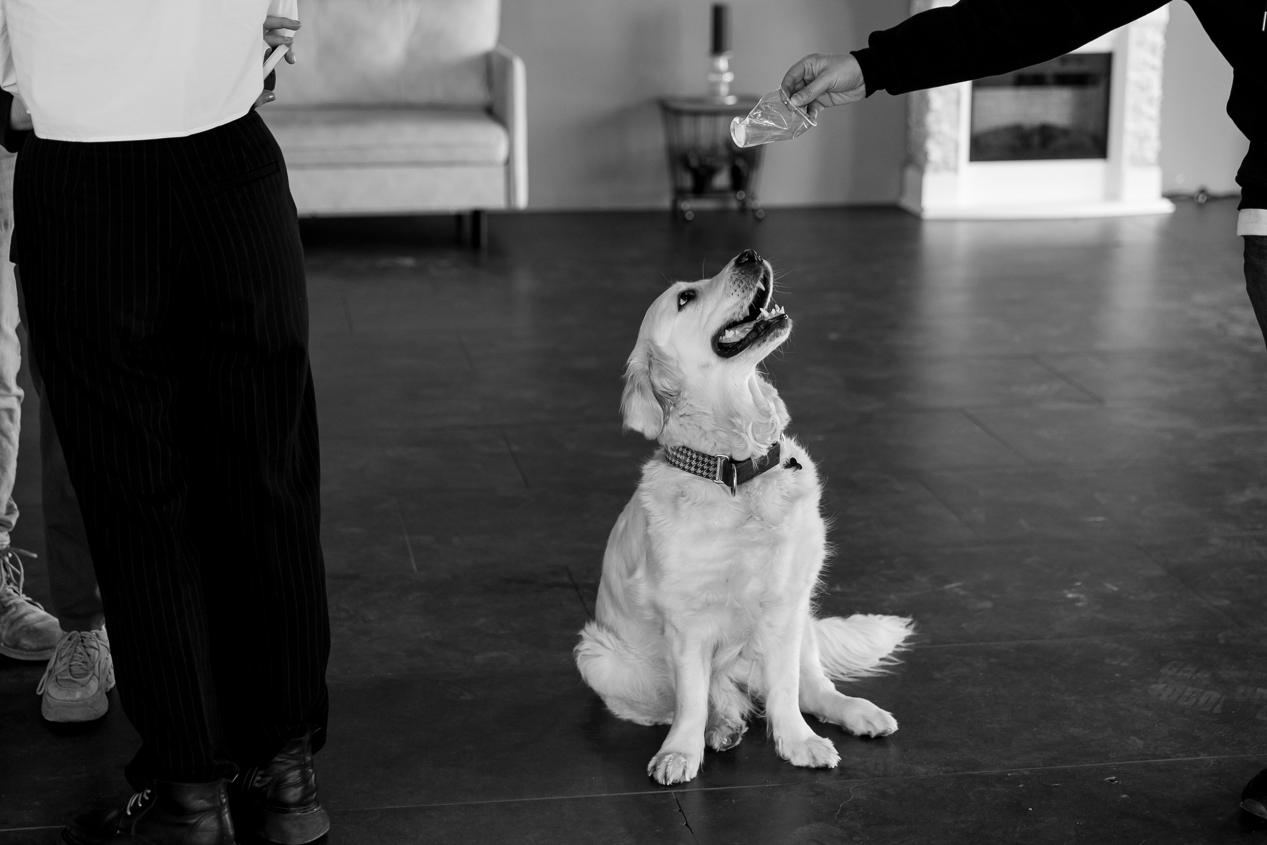 «Вместе». Свадебный фотограф Колесников Антон