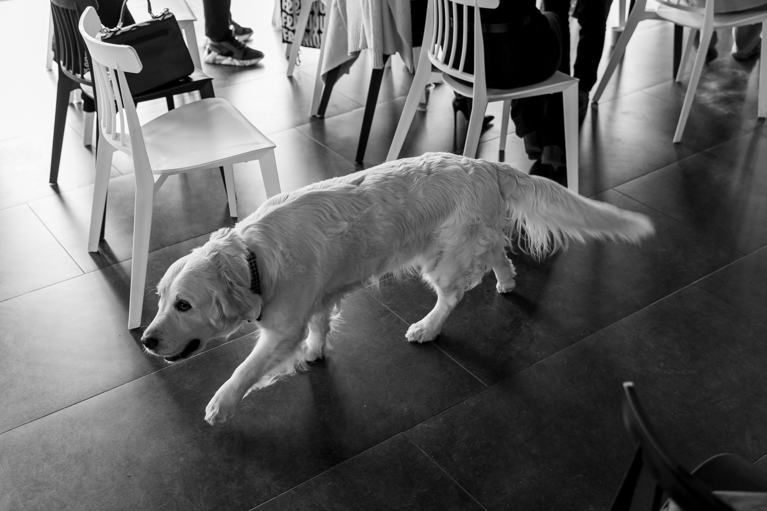 «Вместе». Свадебный фотограф Колесников Антон