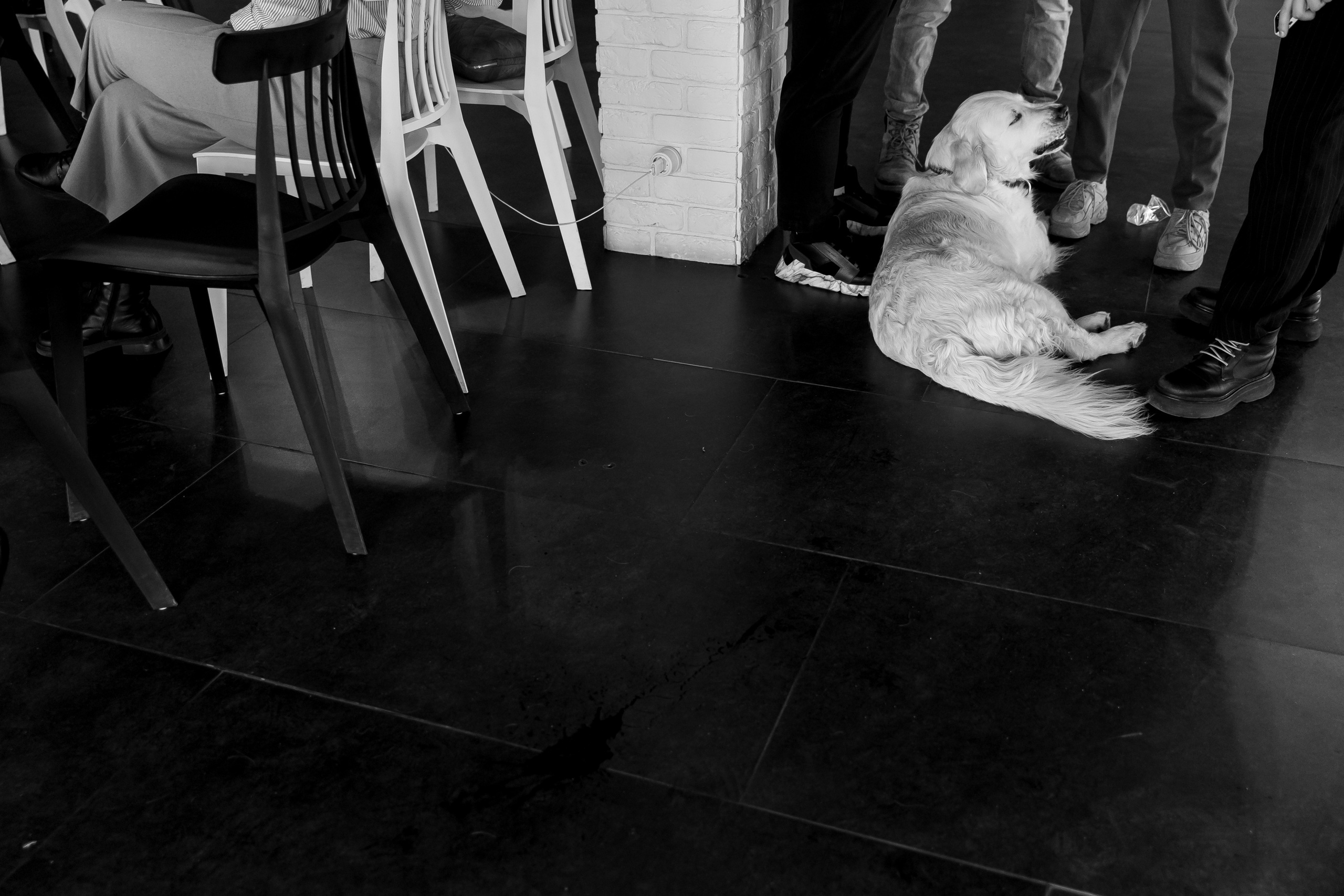 «Вместе». Свадебный фотограф Колесников Антон