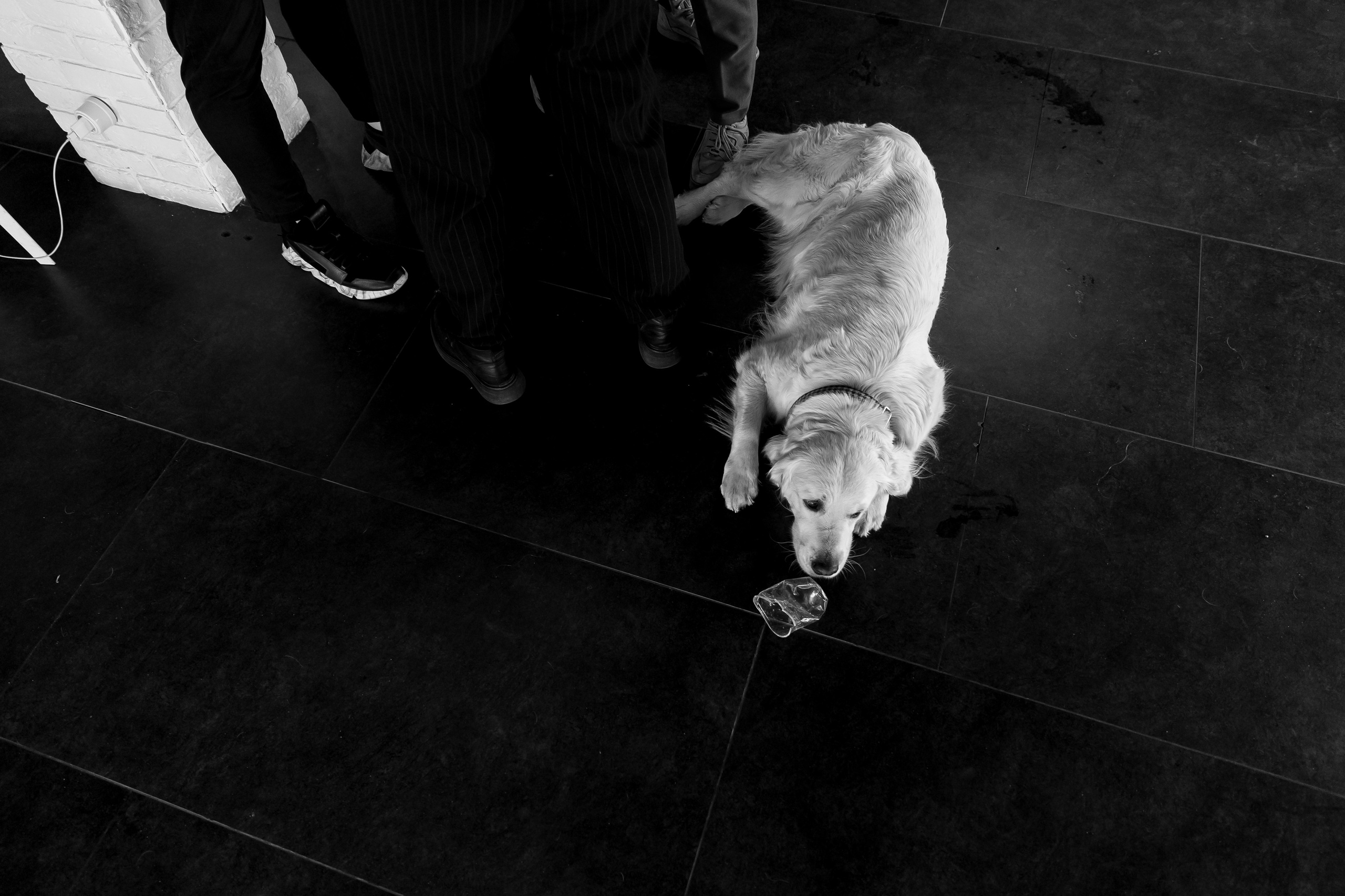 «Вместе». Свадебный фотограф Колесников Антон