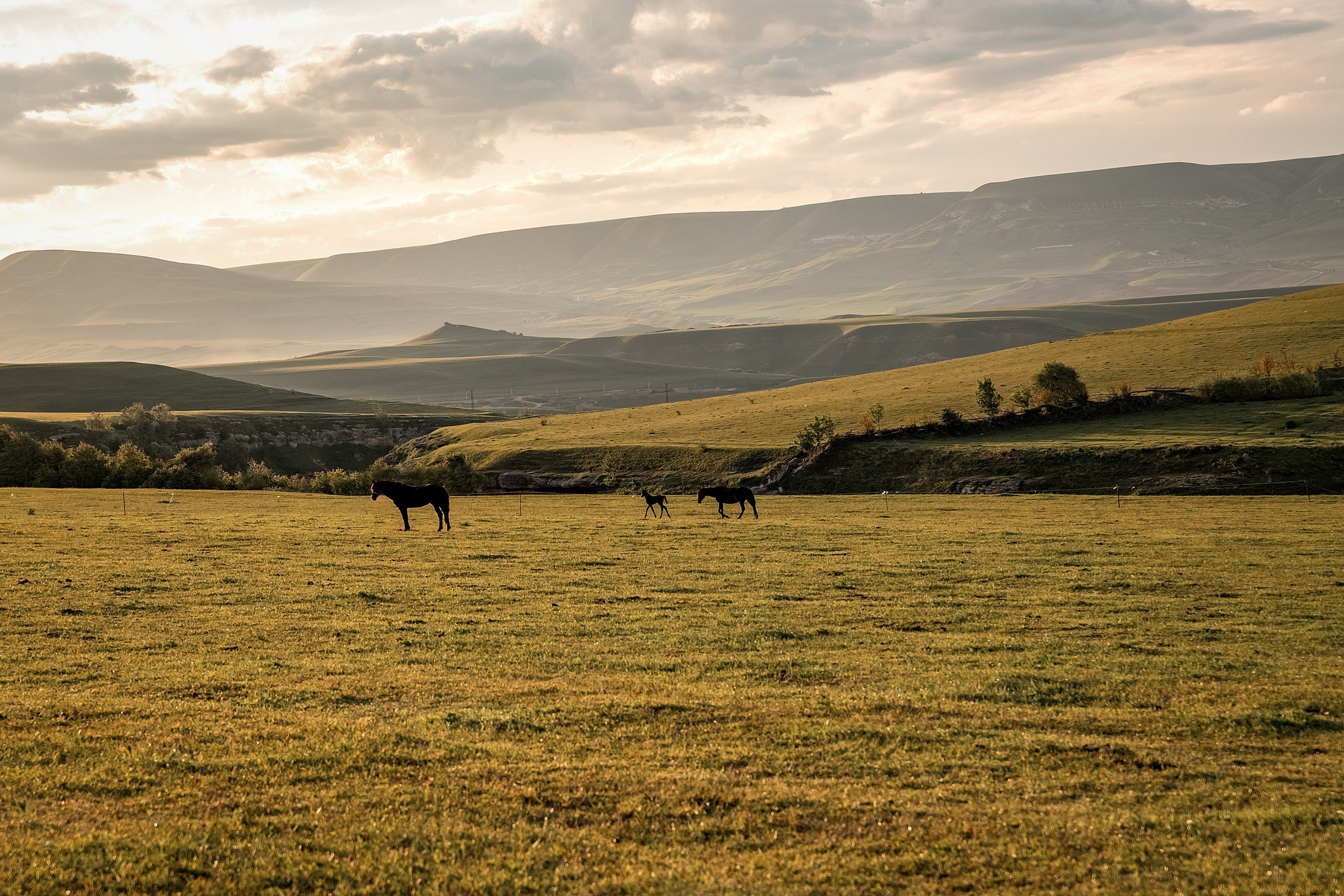 Майское закатное. BrisArts