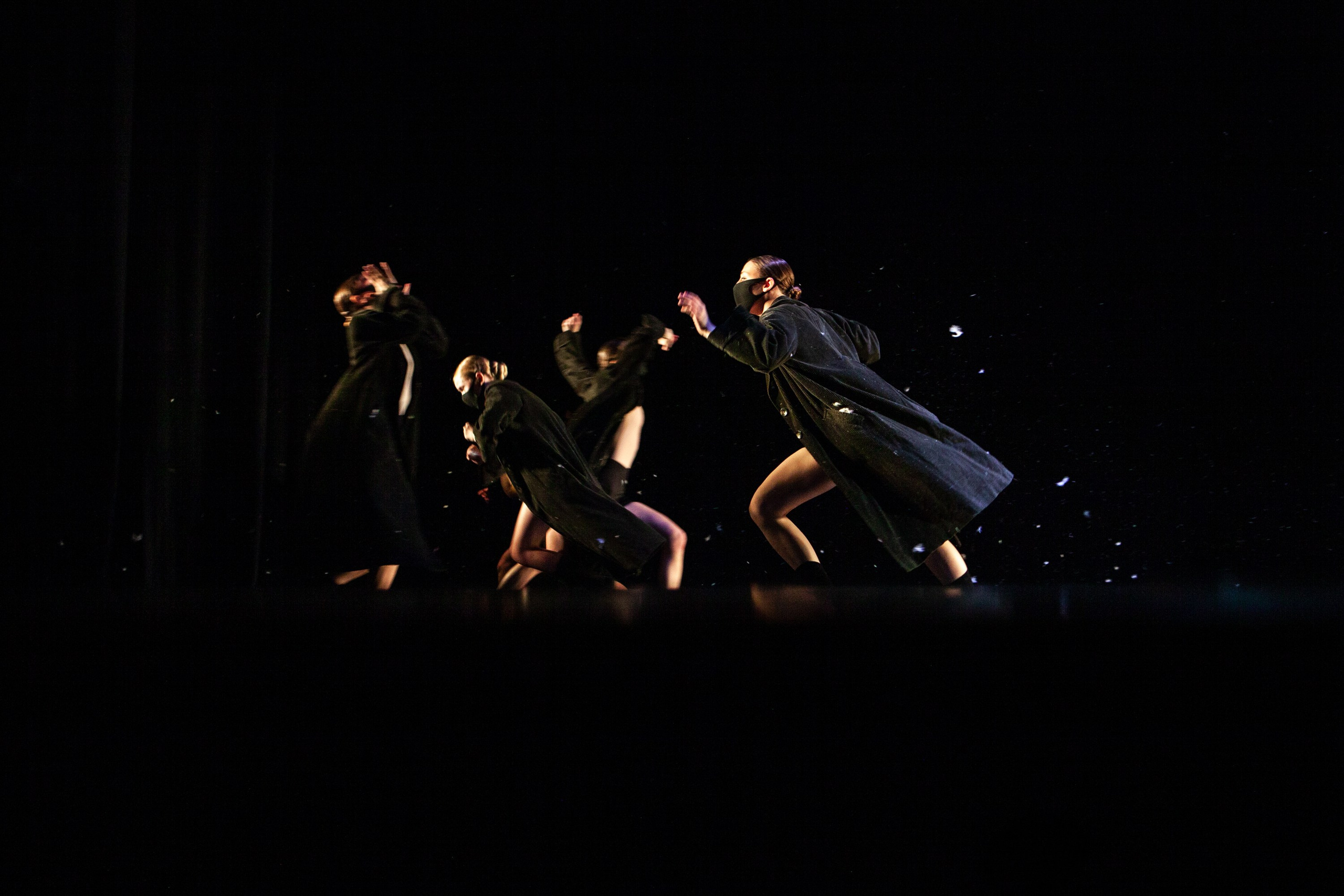 Концерты. Виолетта Скрипка