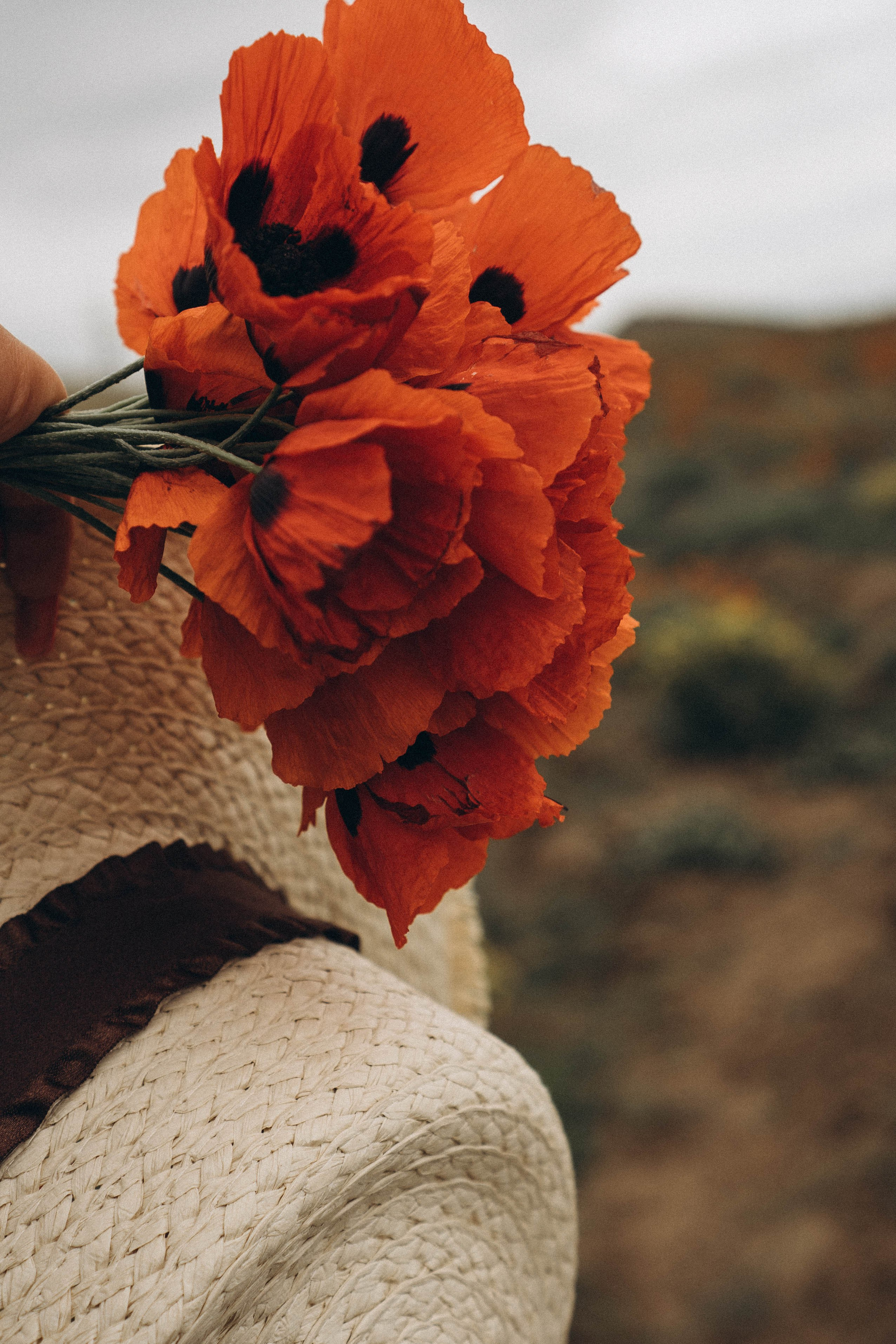 Кавказ. Профессиональный фотограф, Санкт-Петербург — Виктория Богомолова