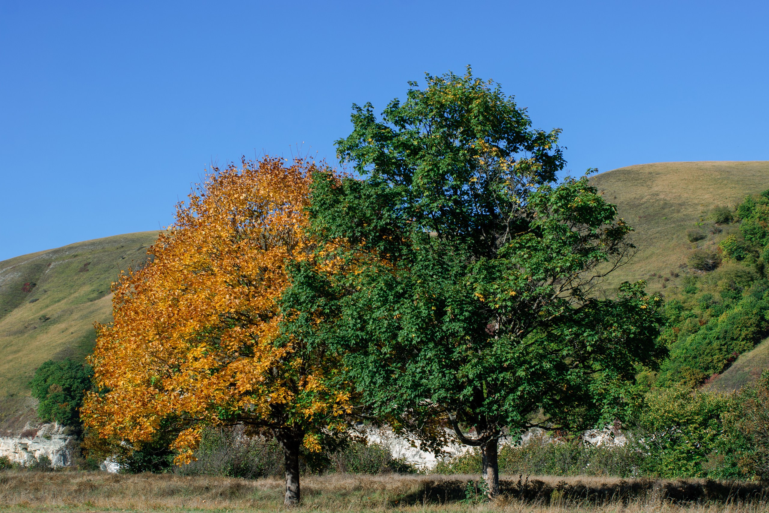 Пейзаж. ThePhenomPhoto