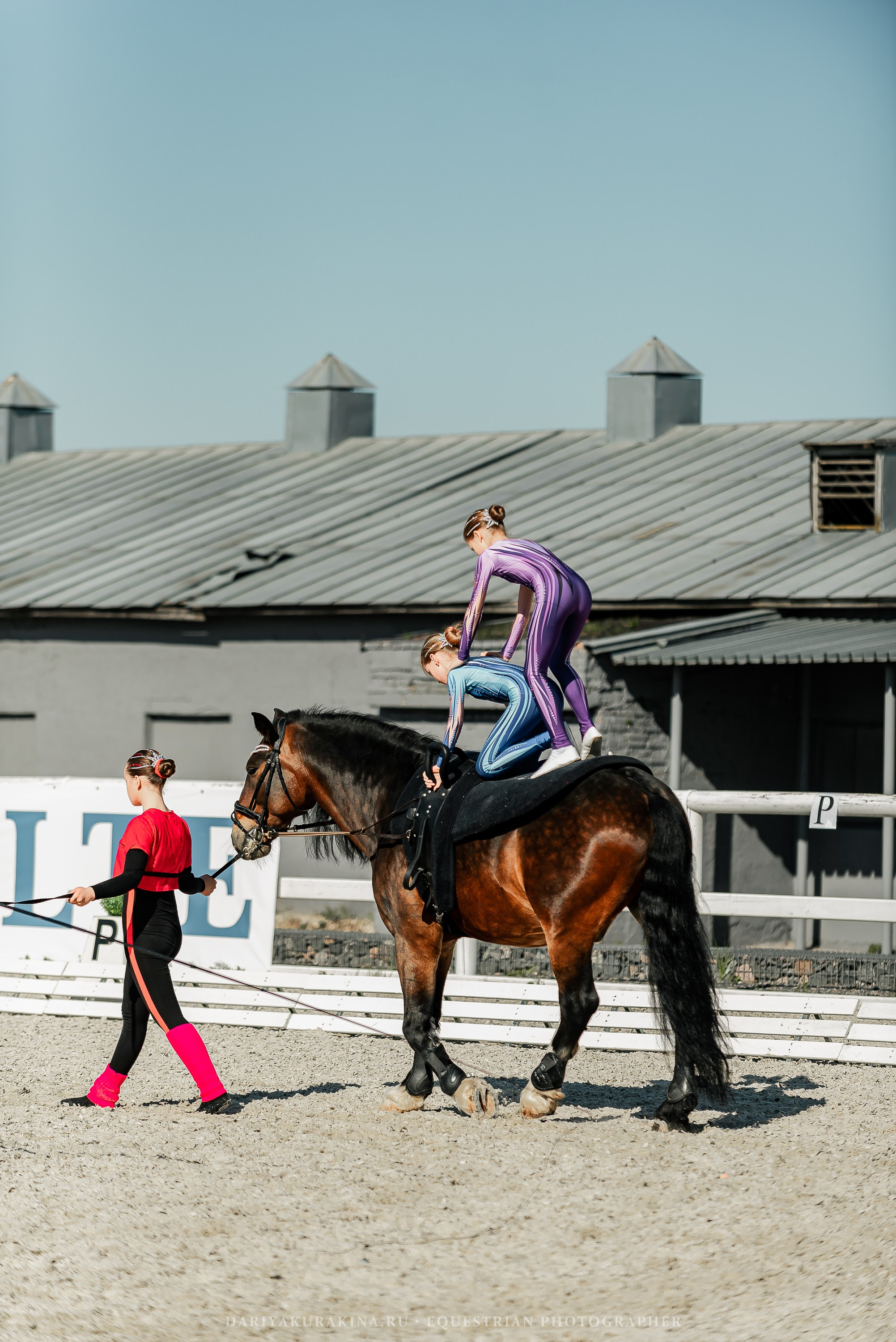 РЕПОРТАЖ МКК ВОЛЬТ «LA TULIPS». Конный фотограф Куракина Дарья • Фотосессии с лошадьми