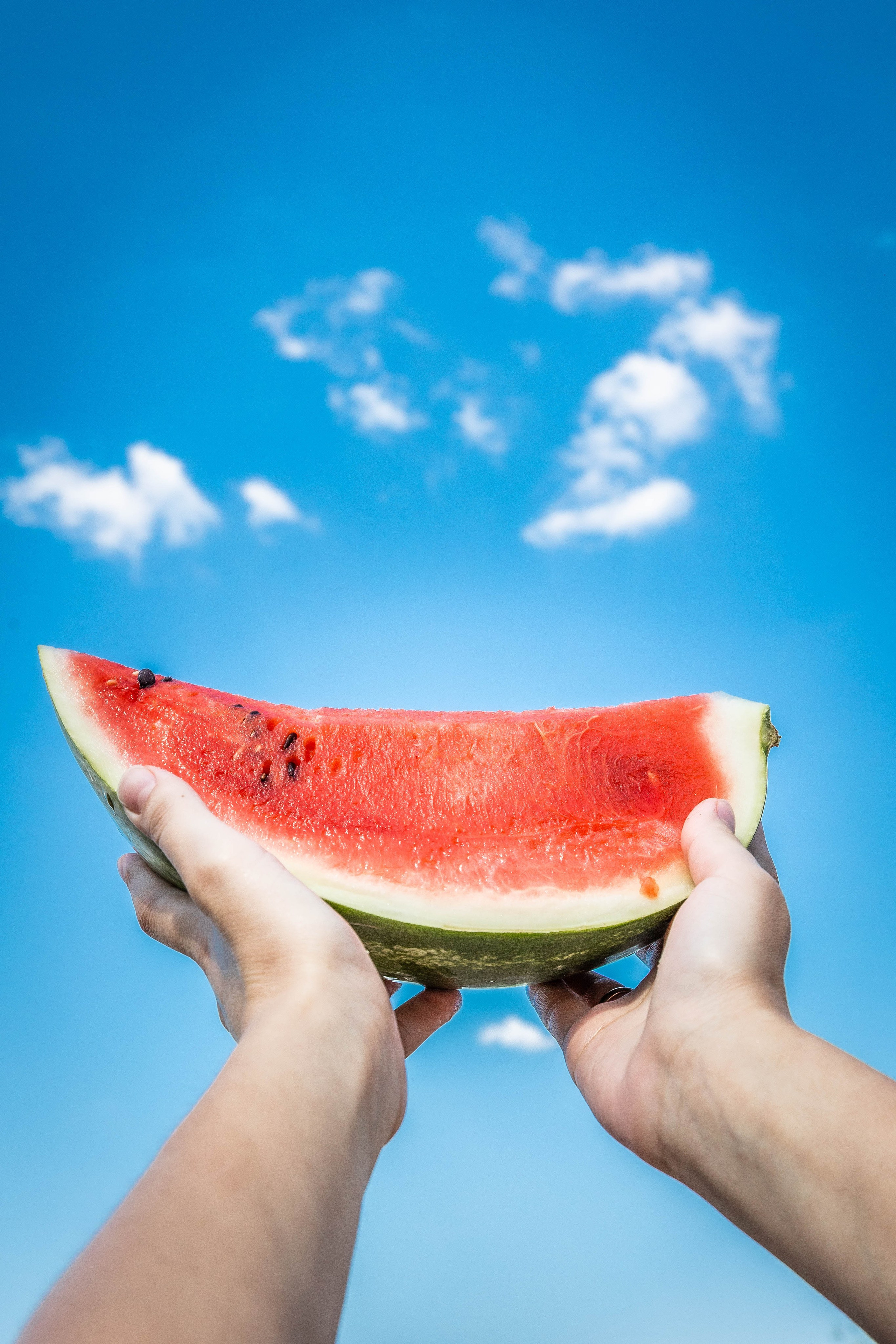 ОЛЬГИНИЯ. Фотограф-АниМалист Анна Абрамова