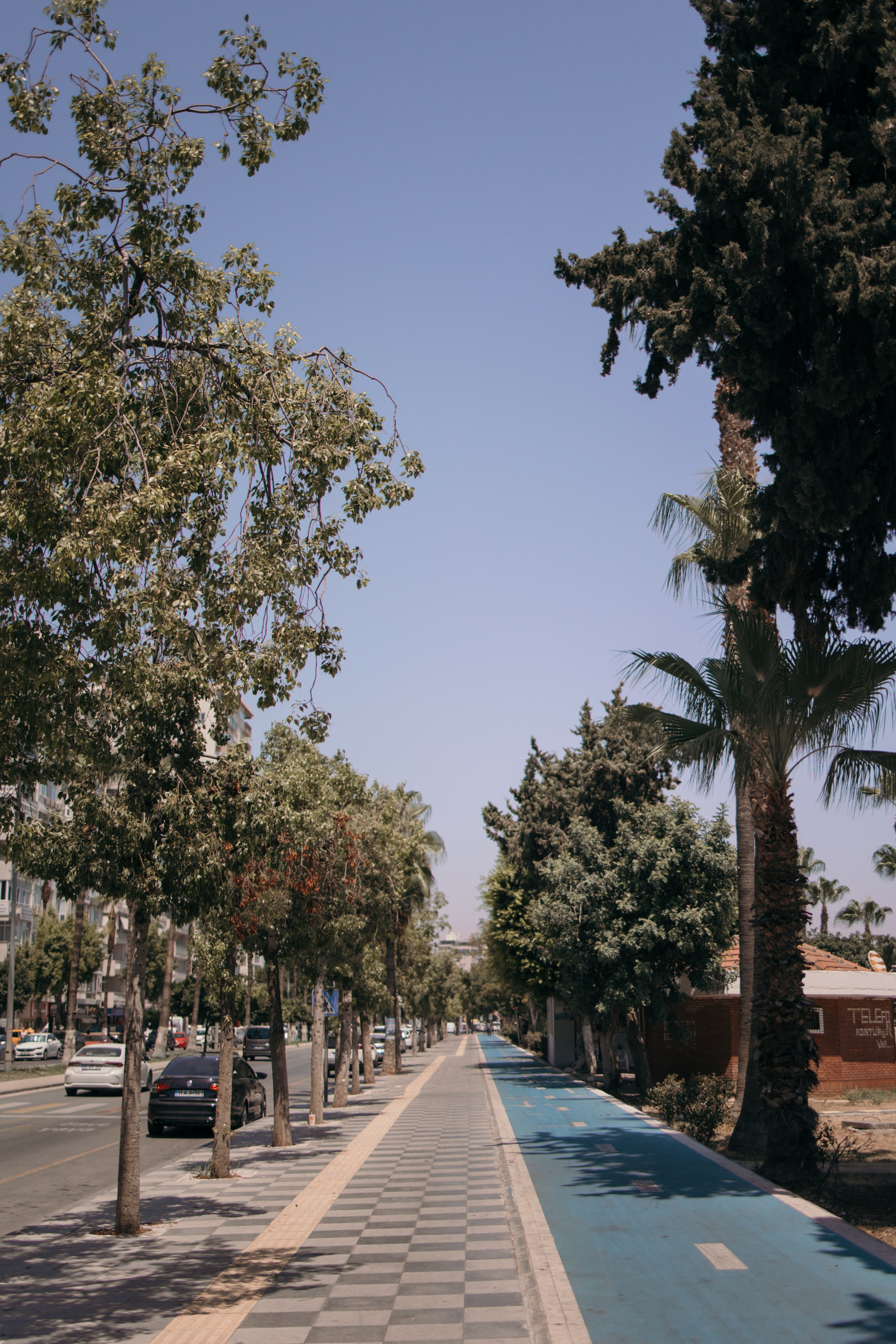 Street photo. Photographer in Turkey — Dari N