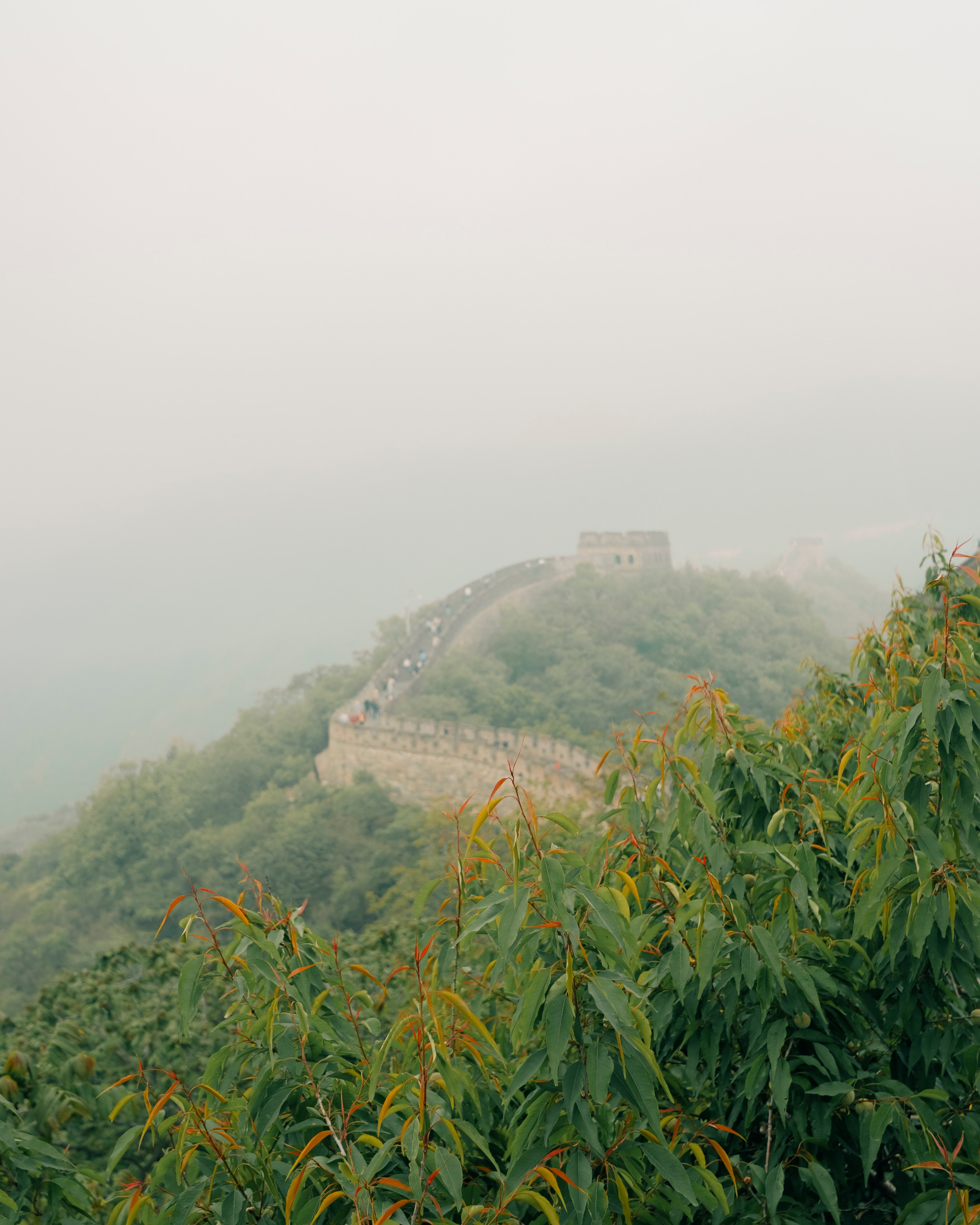 Photoshoot on the Great Wall