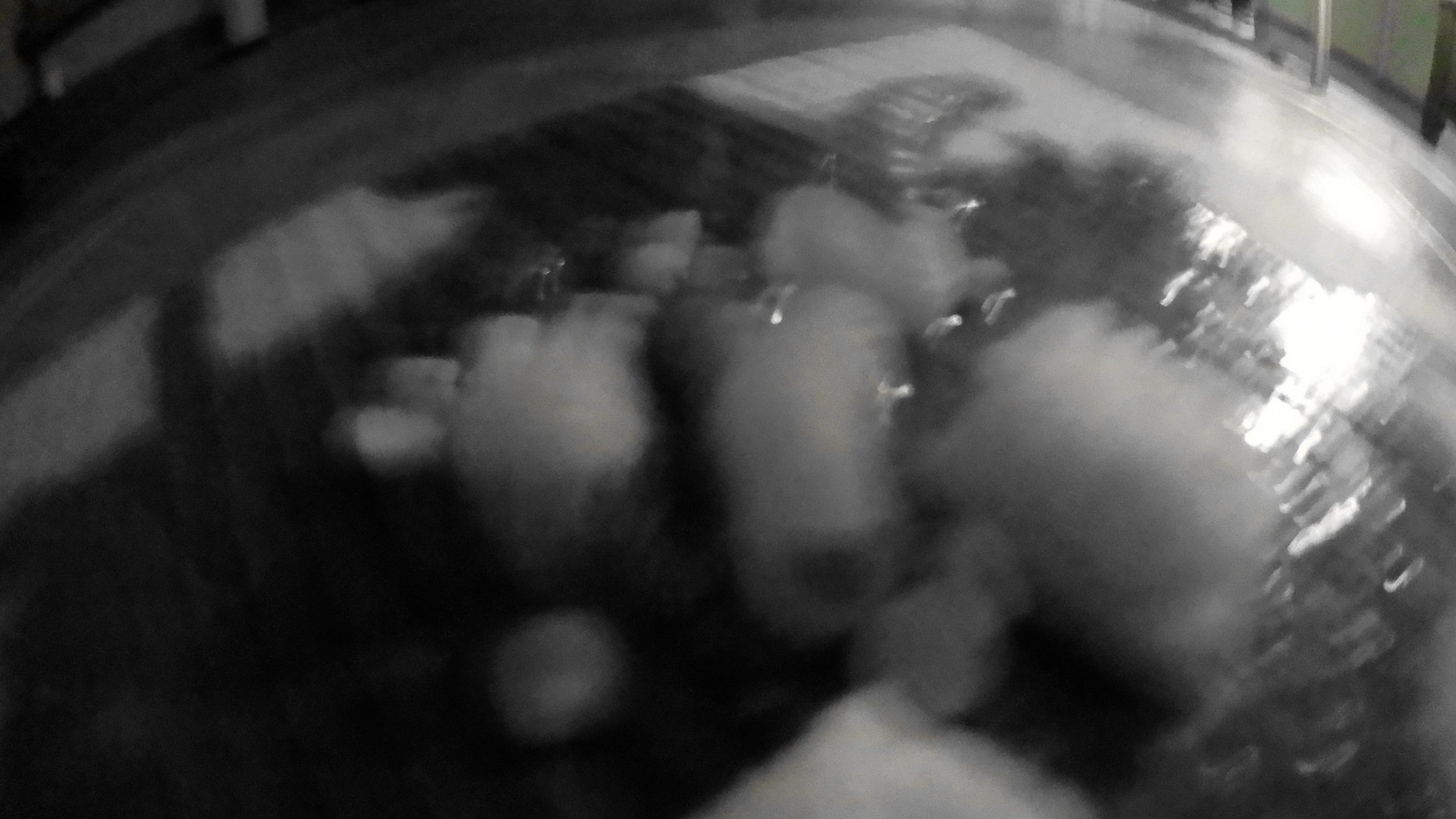 Гости. Fedor Kalinin