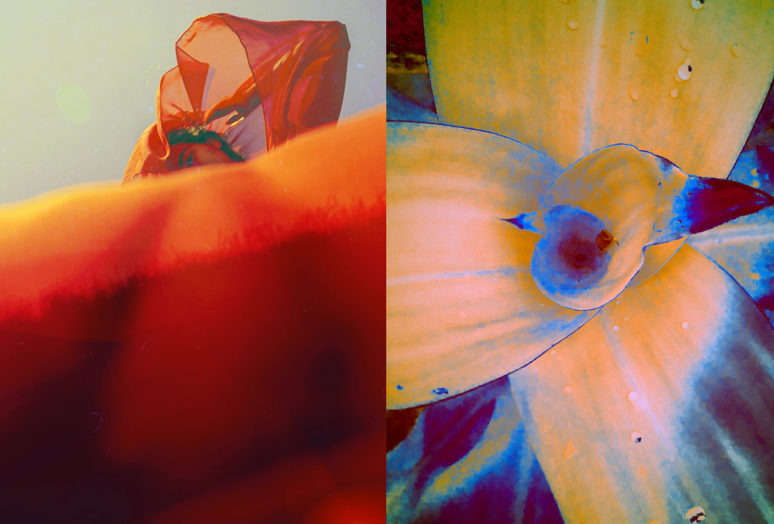 Photos. Visual artist