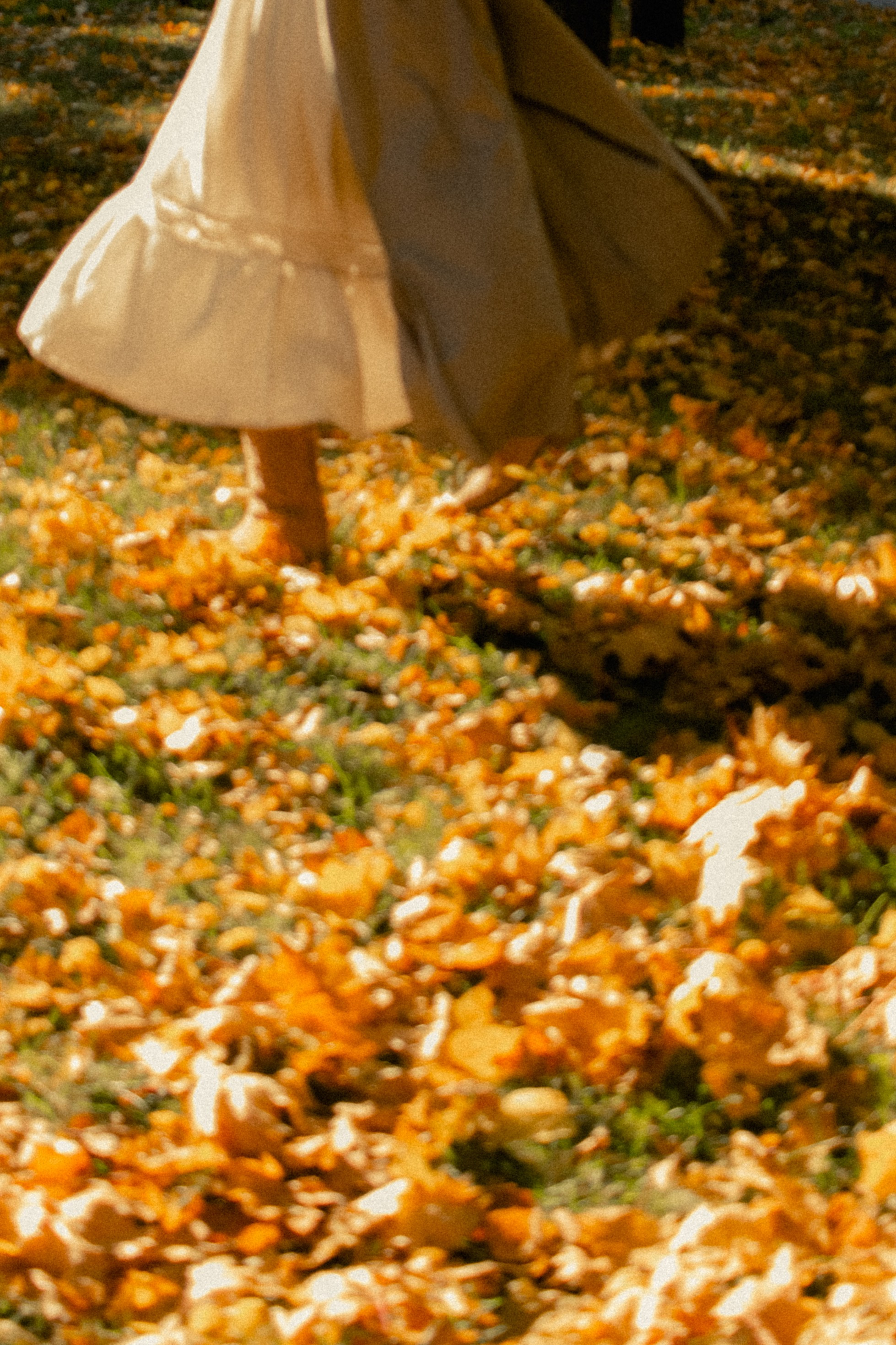 Фотопрогулка в парке Калининград. Портретный фотограф в Калининграде Рита Холодова