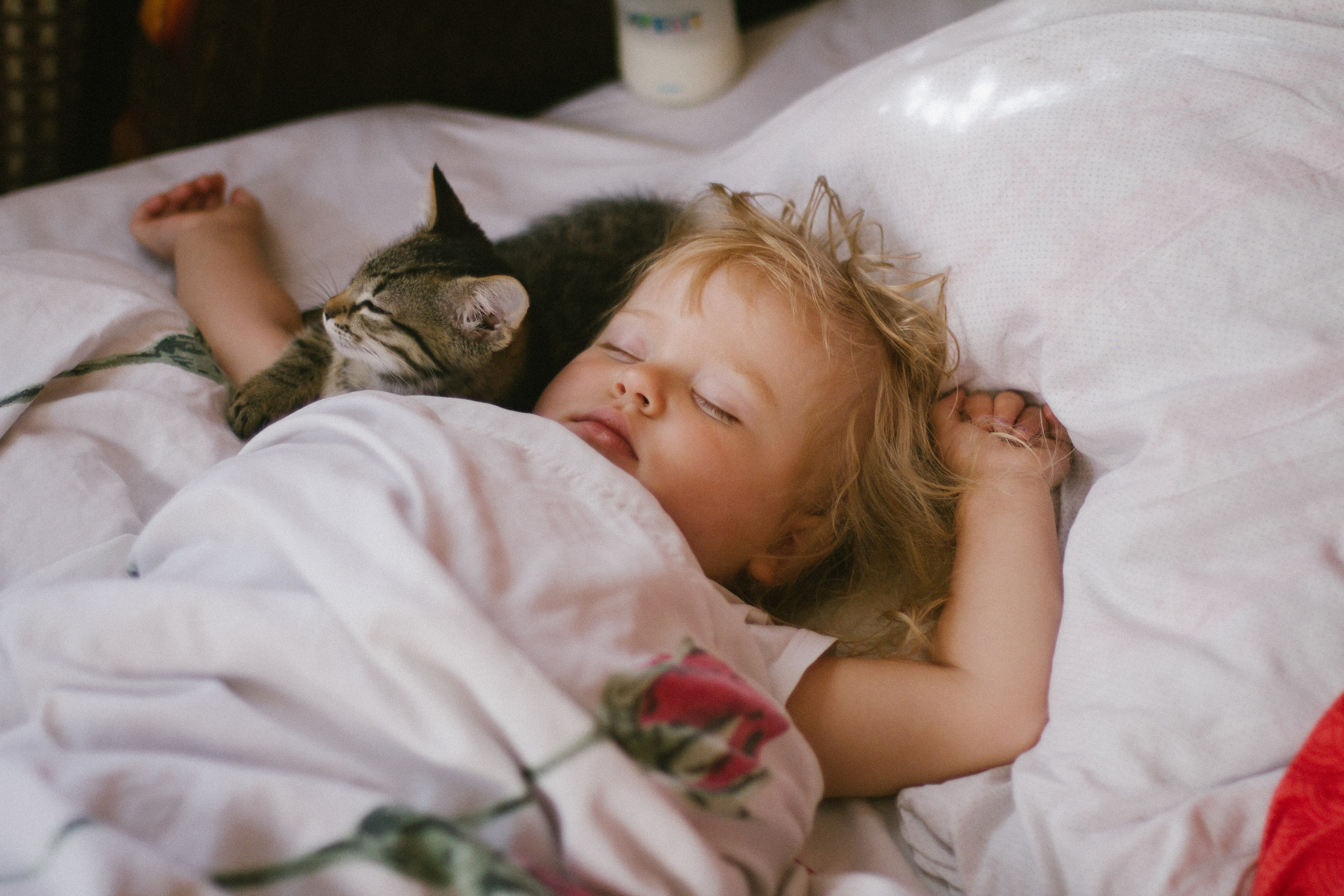 Фотограф в Смоленске и Москве Ирина Макарова