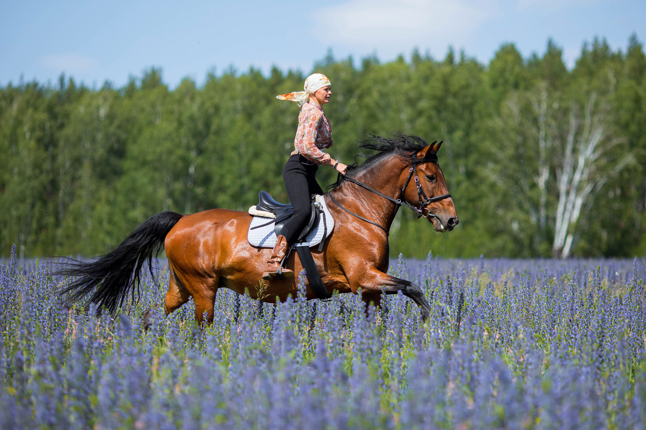 Портретная съемка с лошадью. Конный фотограф в Челябинске Стромова Ольга