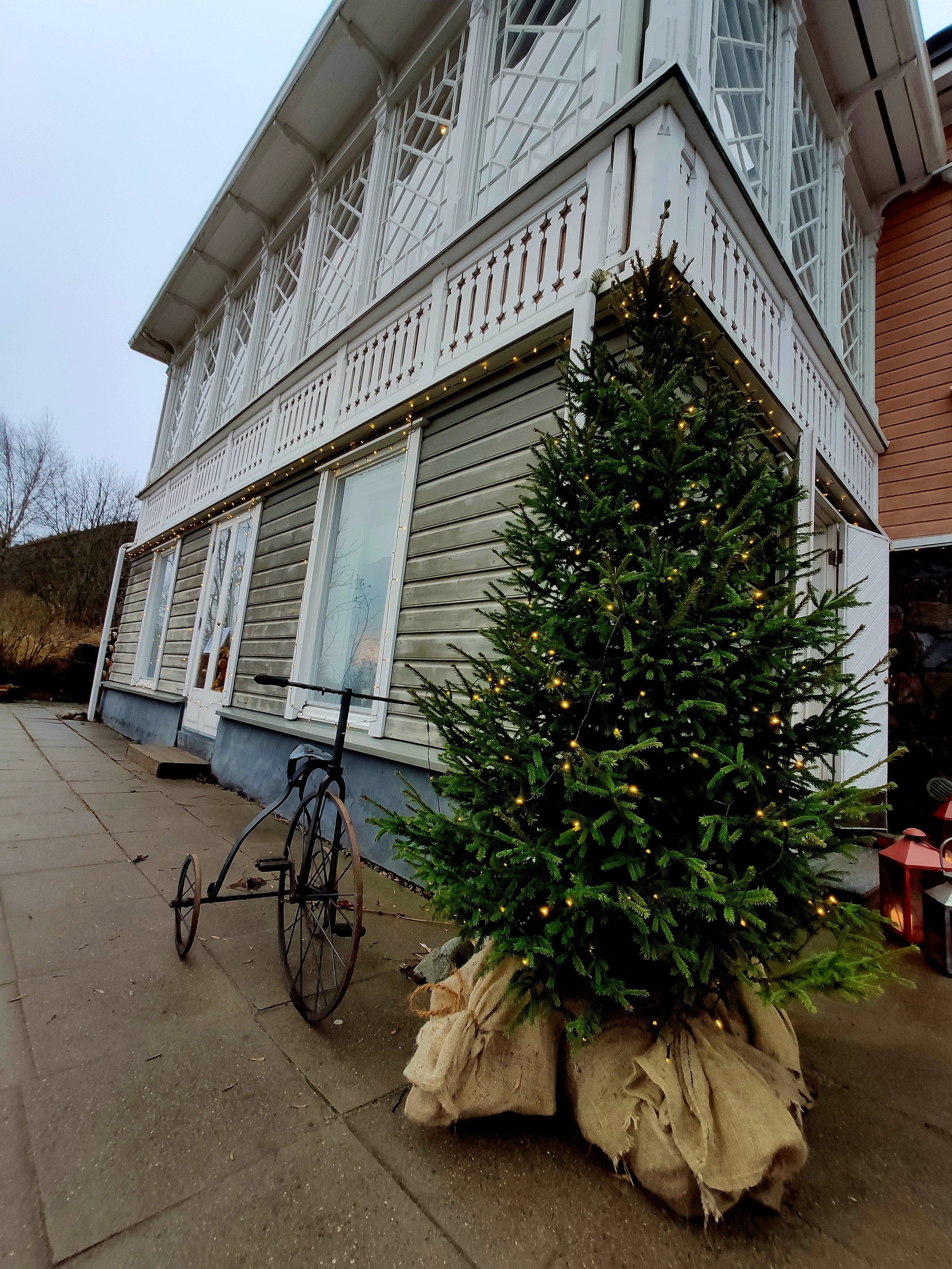Странно в Северной стране видеть бесснежный Новый год, хоть здесь это и не редкость