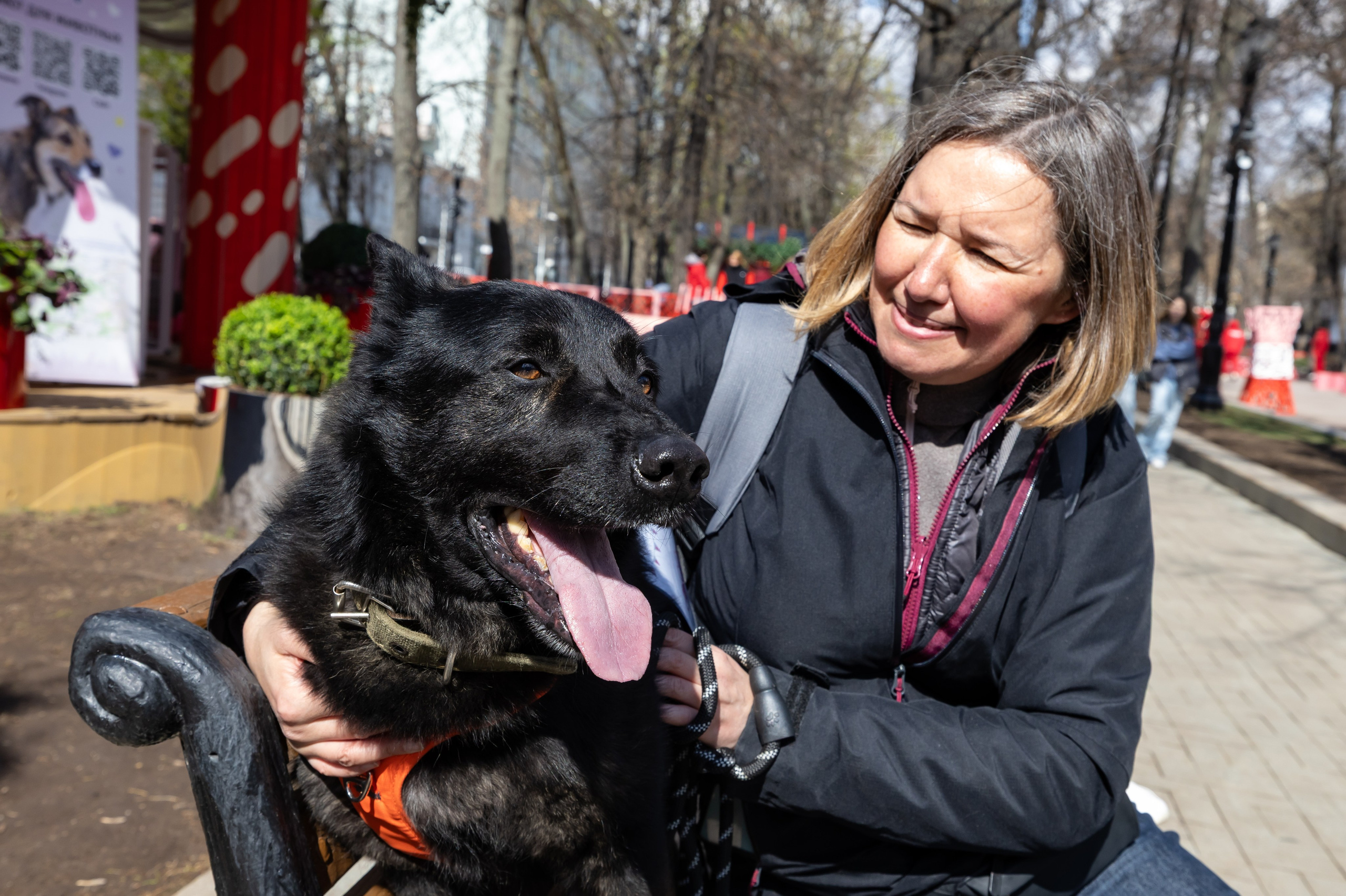 Проект «Моспитомец» на Тверском бульваре. Фотограф Владимир Охрименко