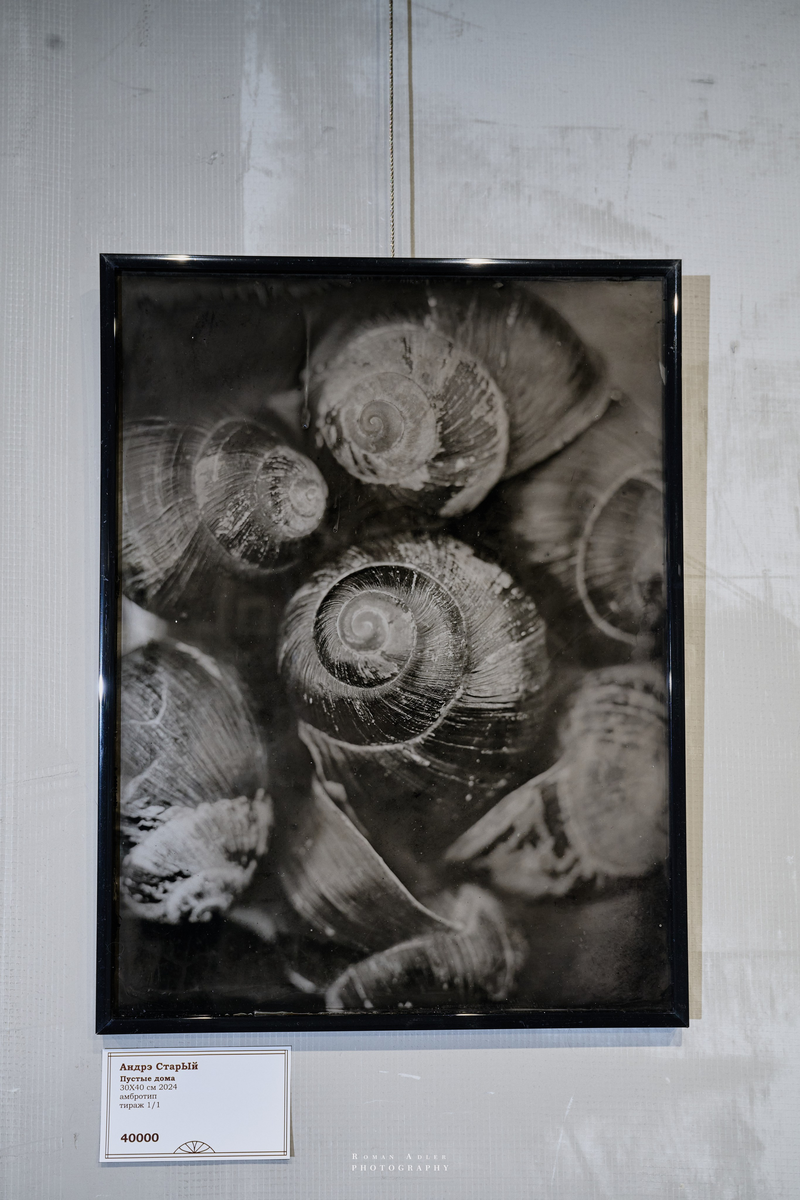 Фестиваль ретро фотографии LUX PICTURA. Фотограф Роман Адлер