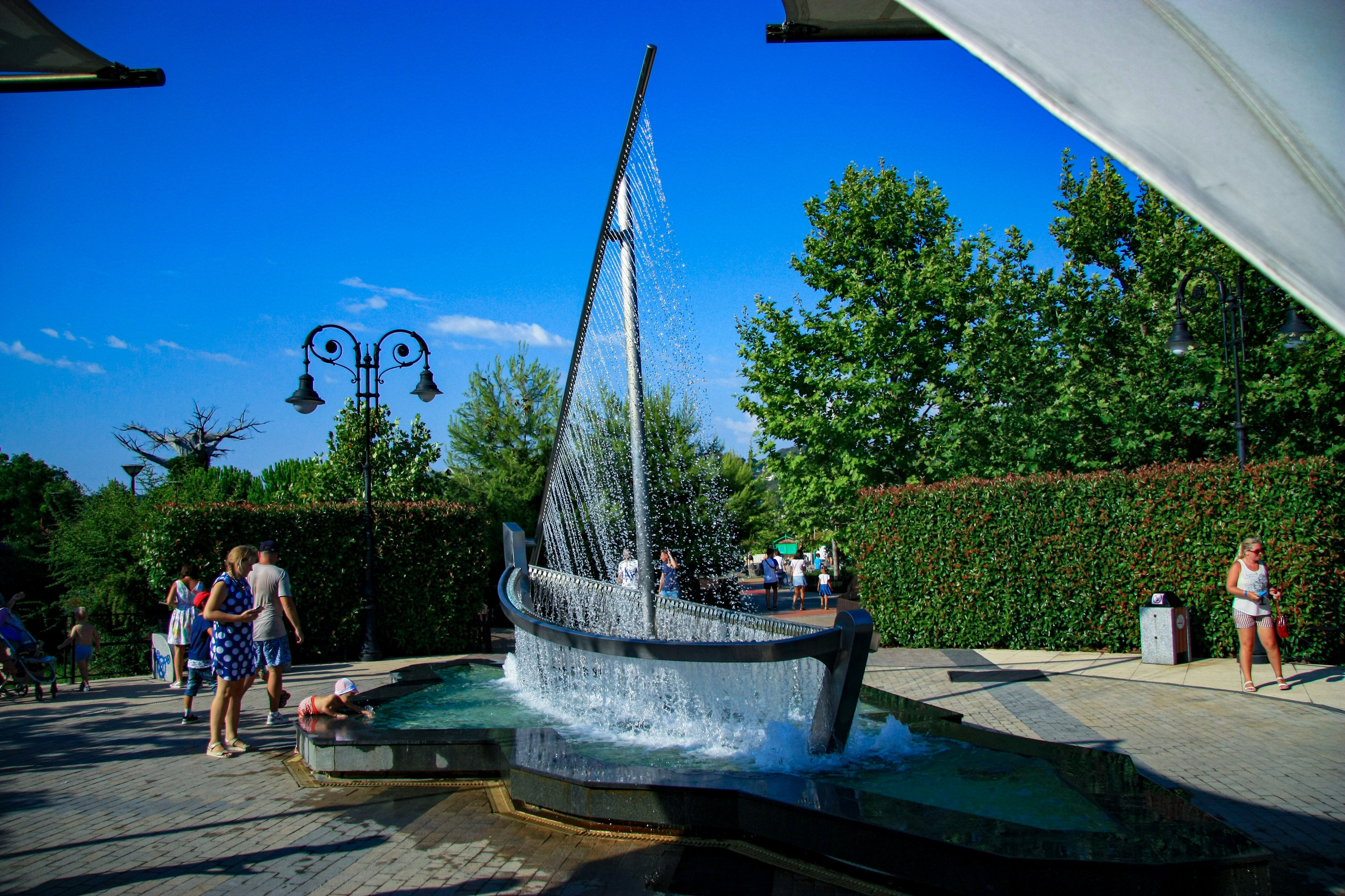 Первые кадры. Сочи — парк. Фотограф Роман Адлер