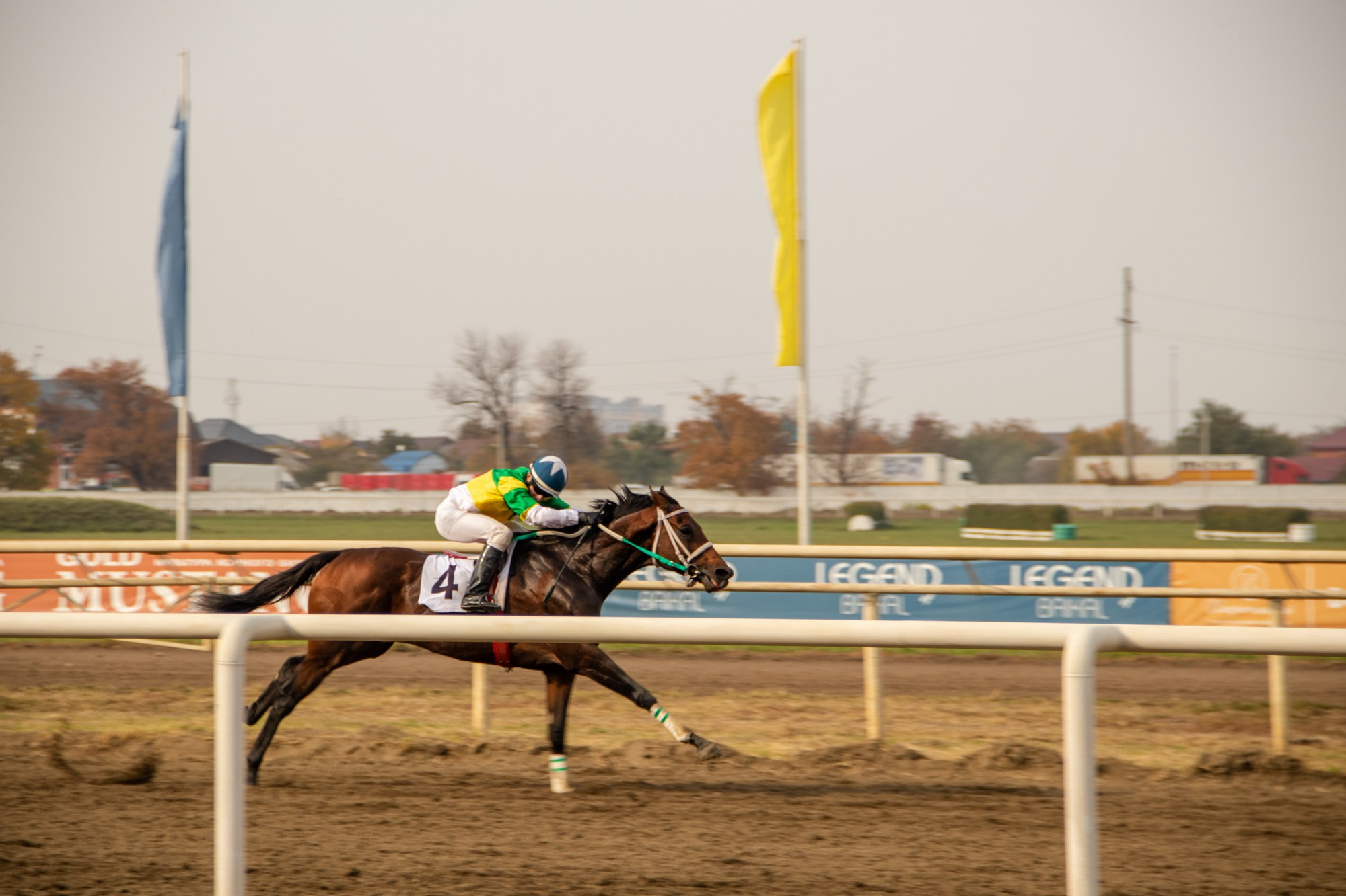 Закрытие скакового сезона на Краснодарском ипподроме. Репортажный, промышленный и маркетплейс-фотограф Дмитрий Чернат