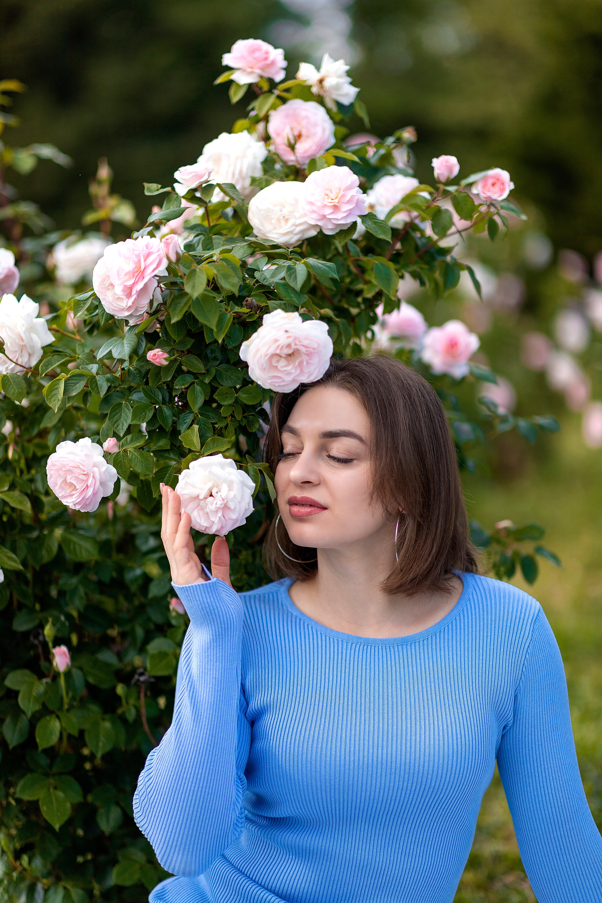 Сад роз. Настасья Перова Фотограф