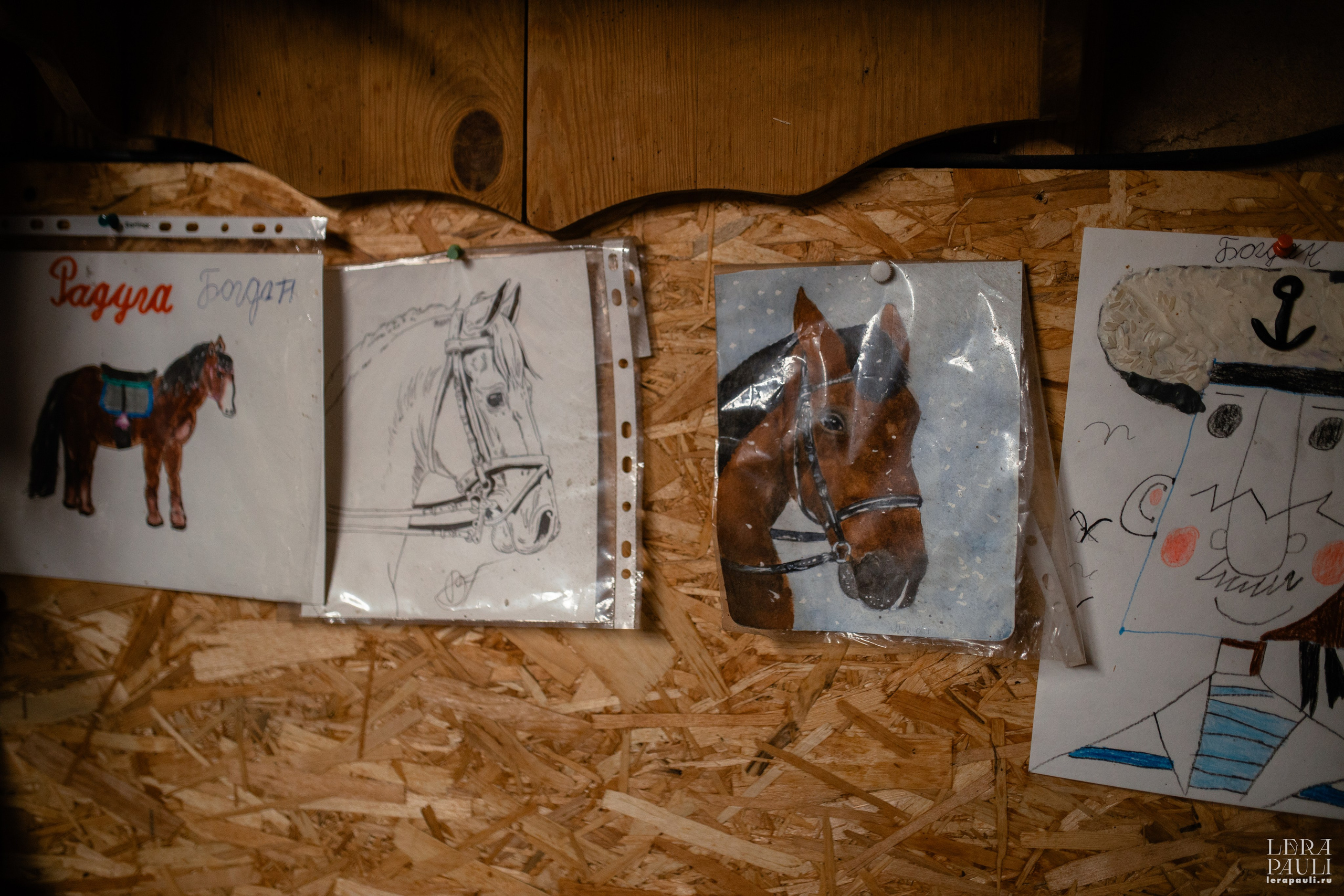 ДПСО «ЛизаАлерт». Главная