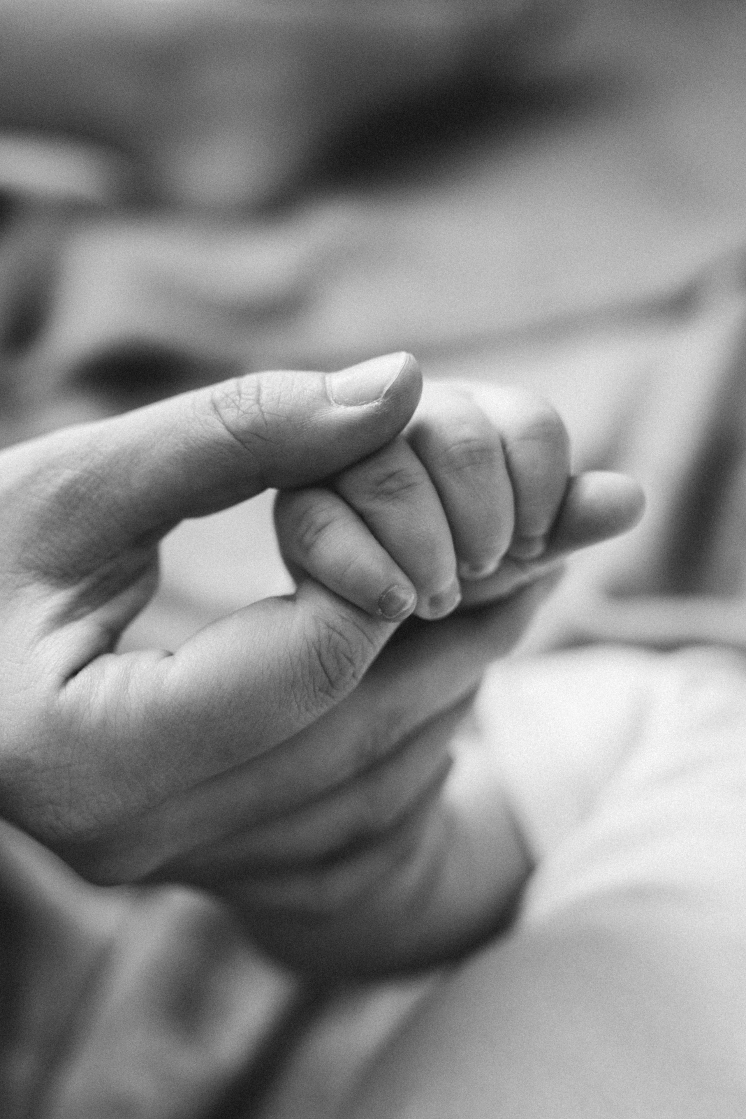 Anastasia and Savely. Фотограф Волгоград