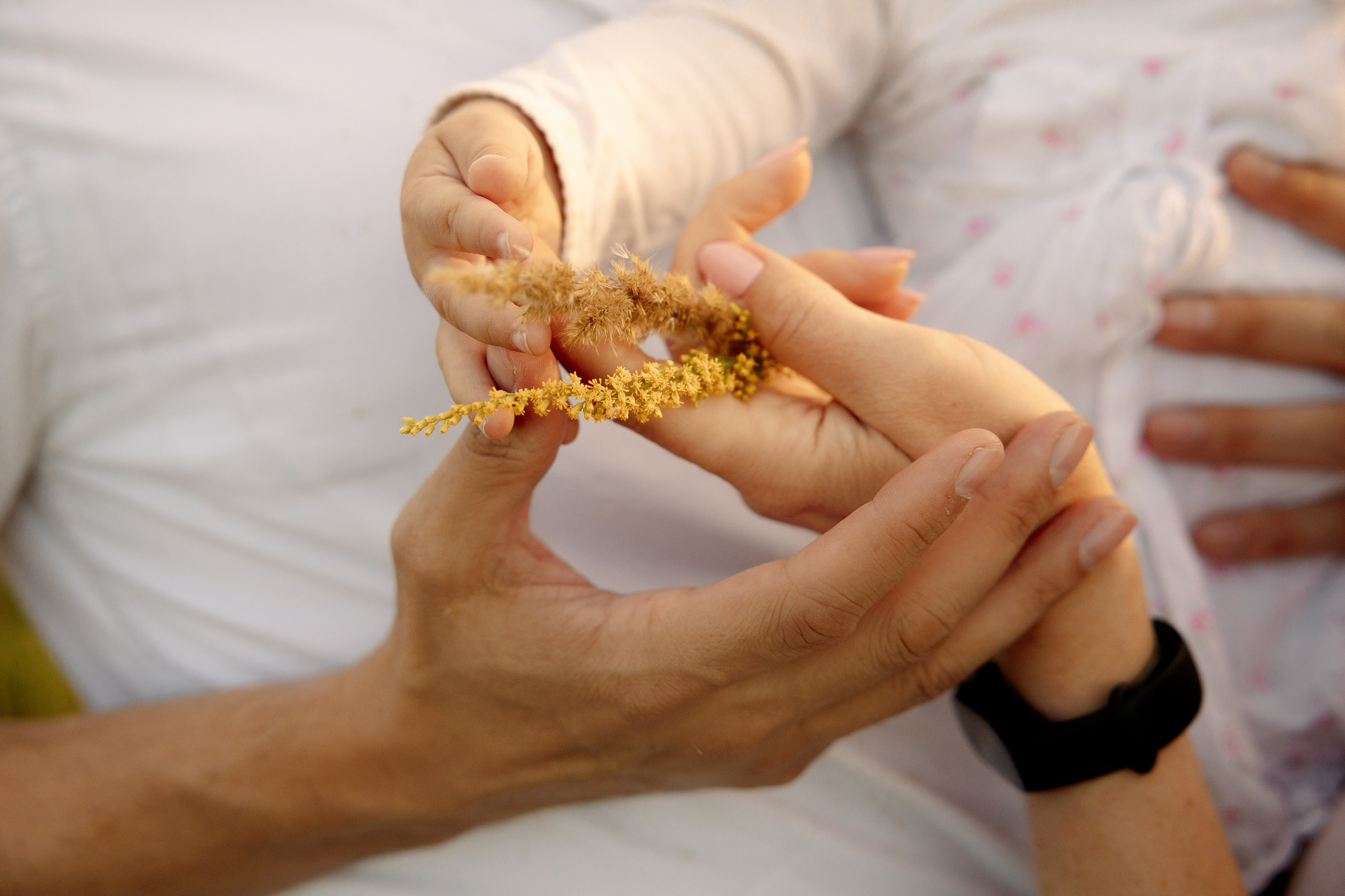 Голицыны. Главная