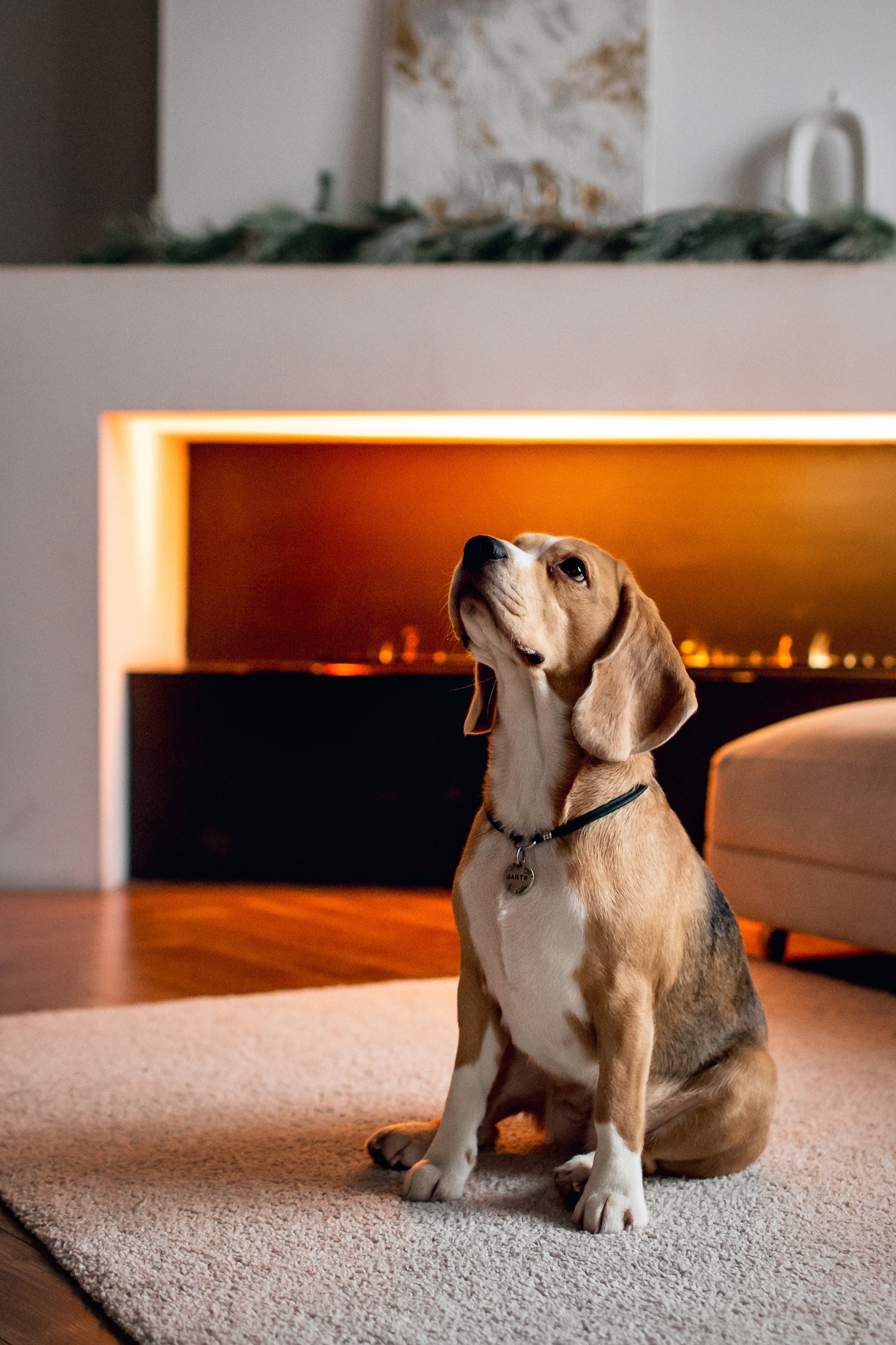 Беременная история. Ирина Носова - семейный и детский фотограф