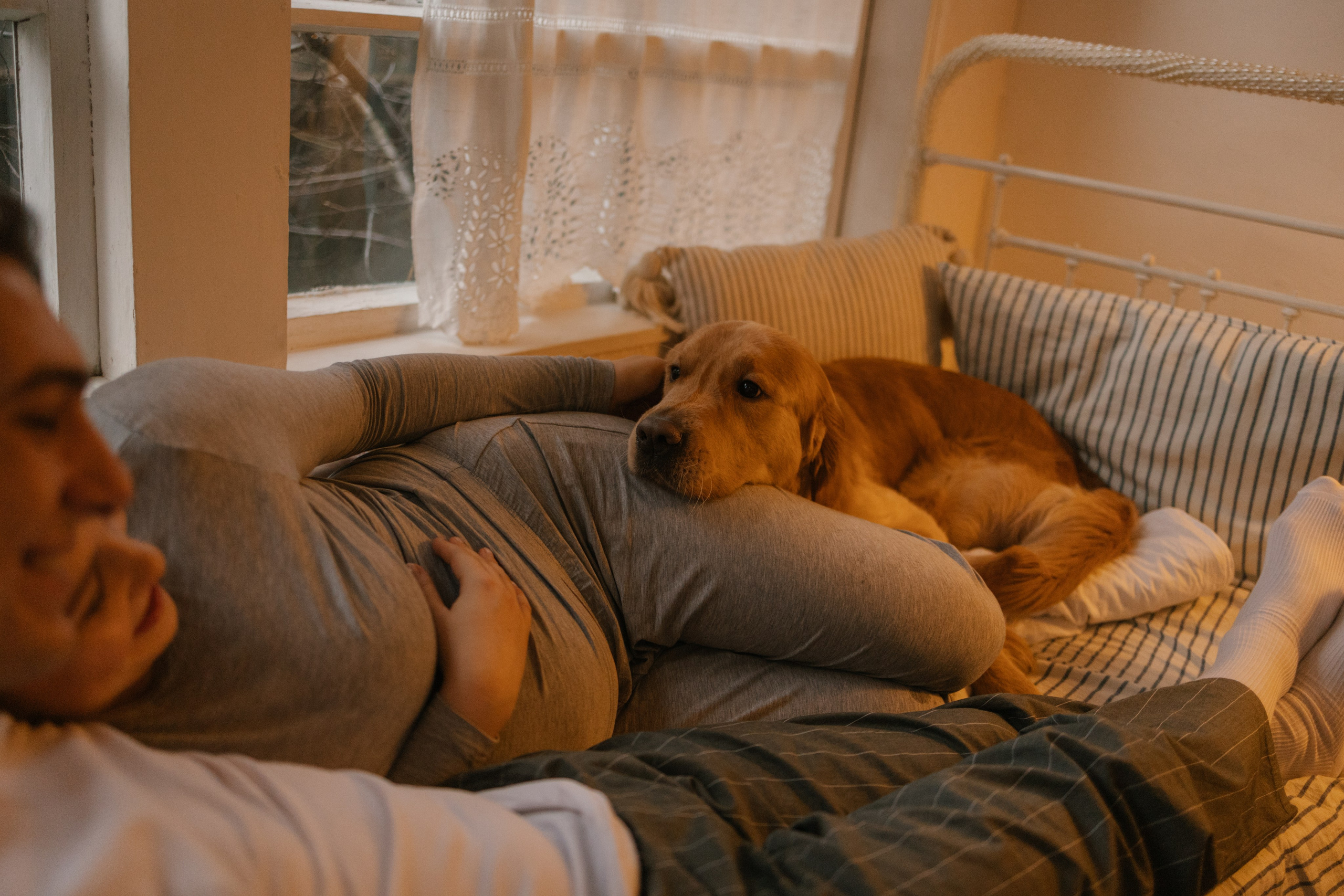 Вегас, Веник и их семья. Фотограф — Анималист | Санкт-Петербург