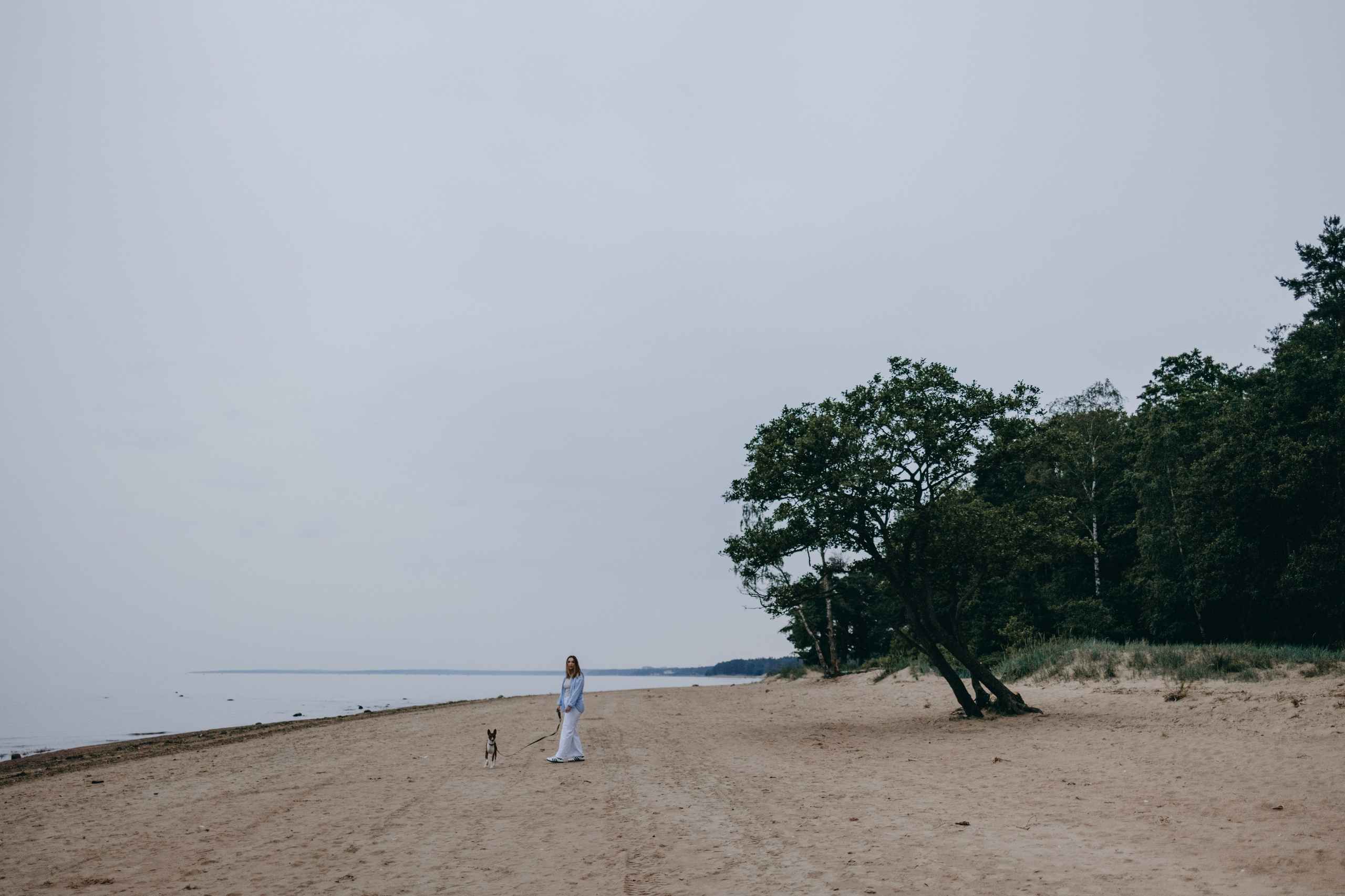 Даша и Арчи. Фотограф — Анималист | Санкт-Петербург