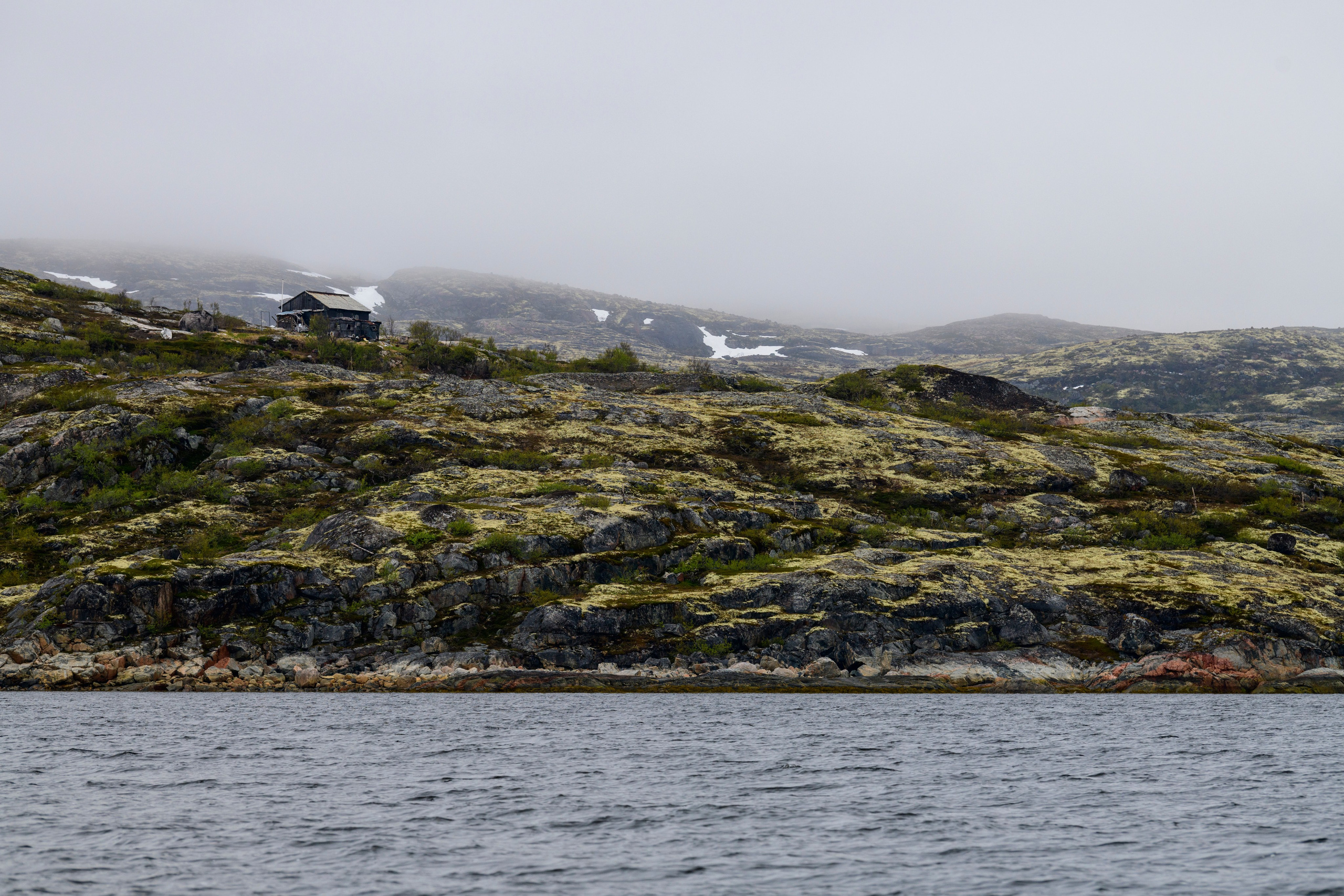 Мурманская область. Июнь 2024. Фотограф Сергей Пупонин