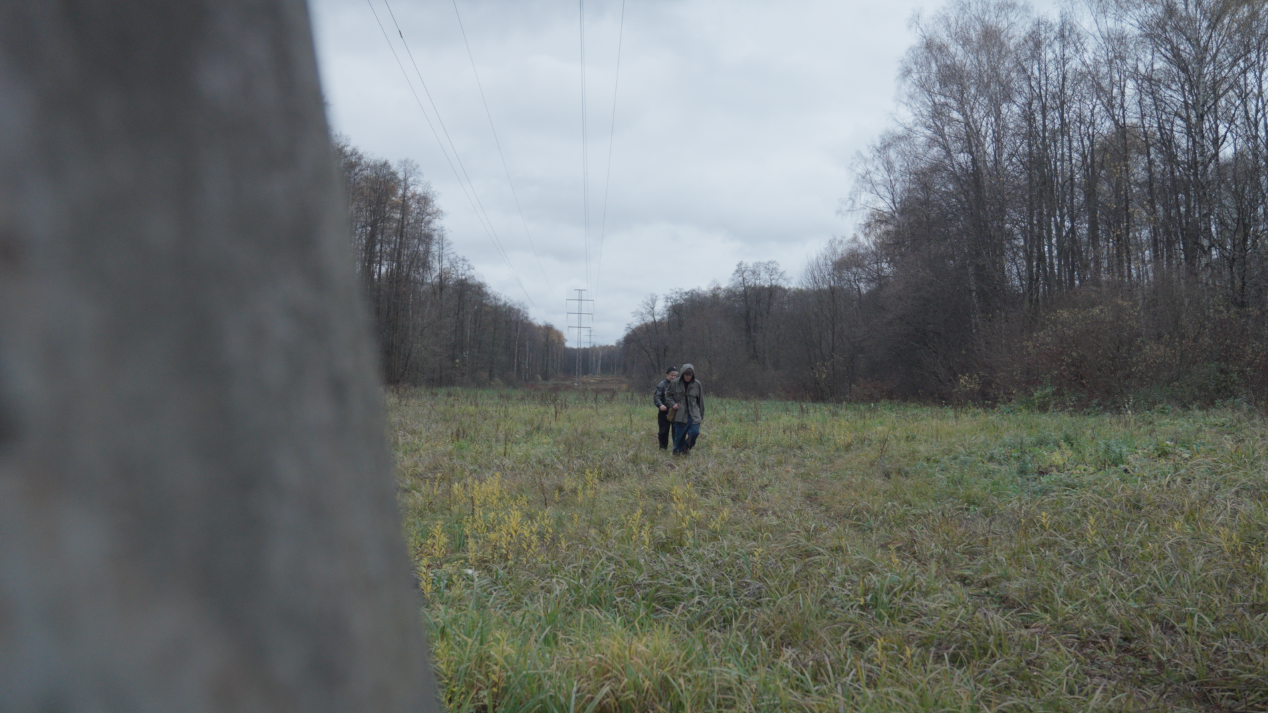 А здесь что?. Колорист Евегений Воронин